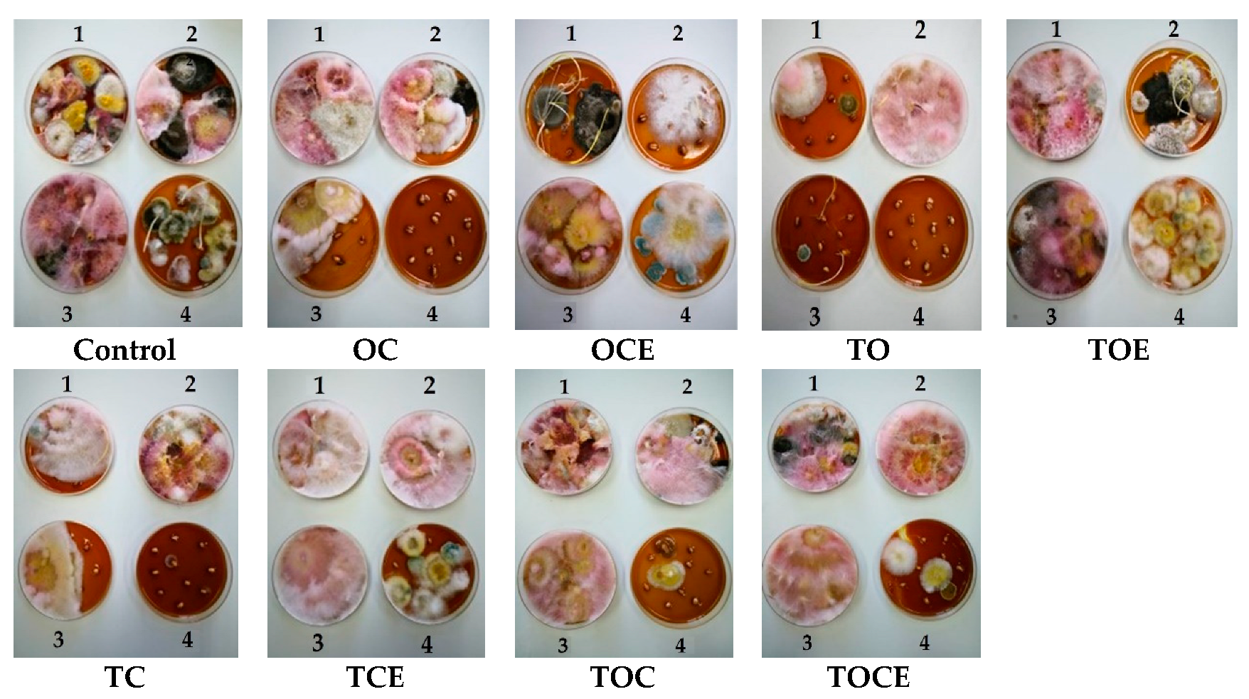 Foods 11 02926 g002 Foods 11 02926 g002