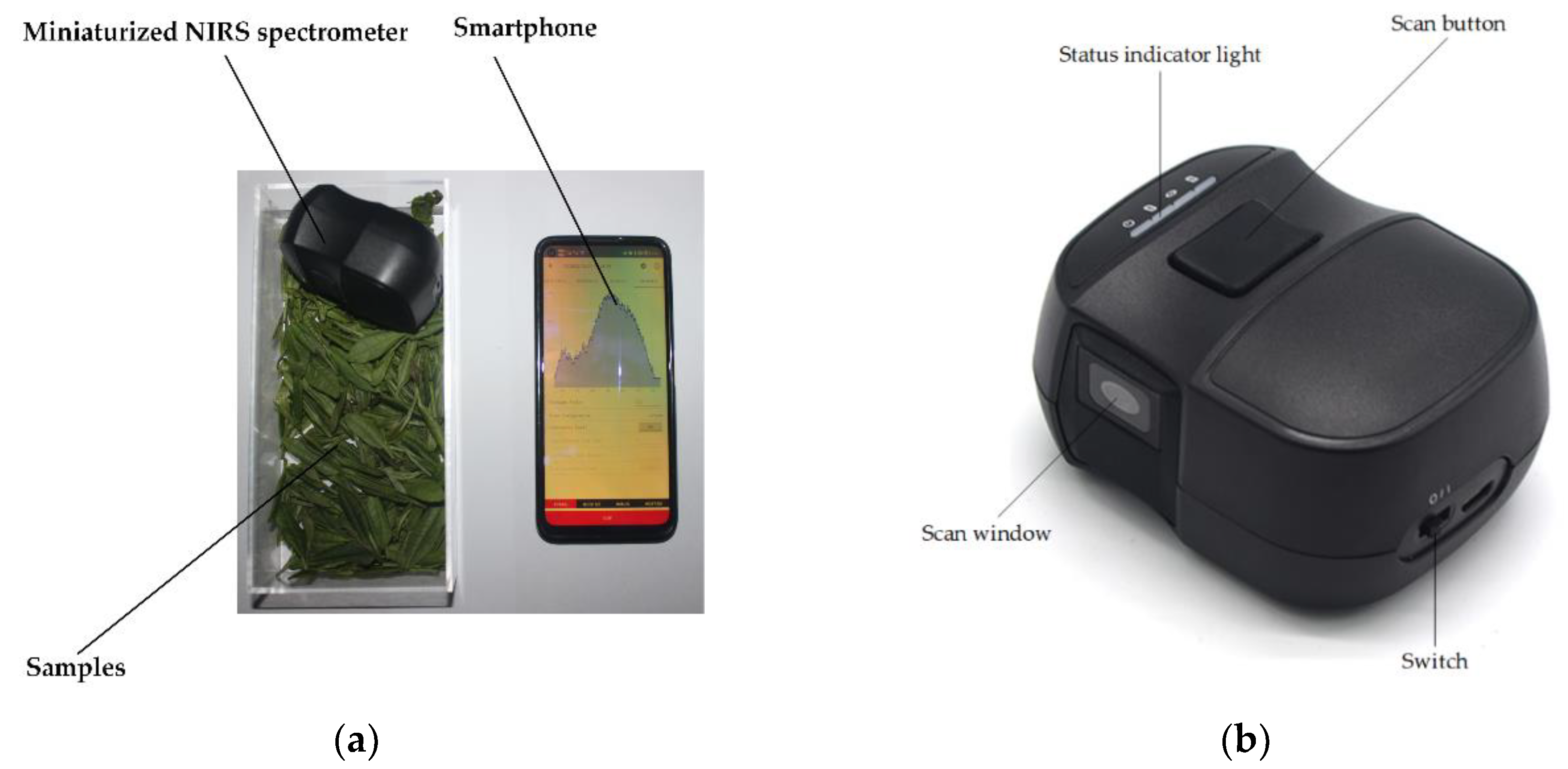 Foods 11 02928 g002 Foods 11 02928 g002