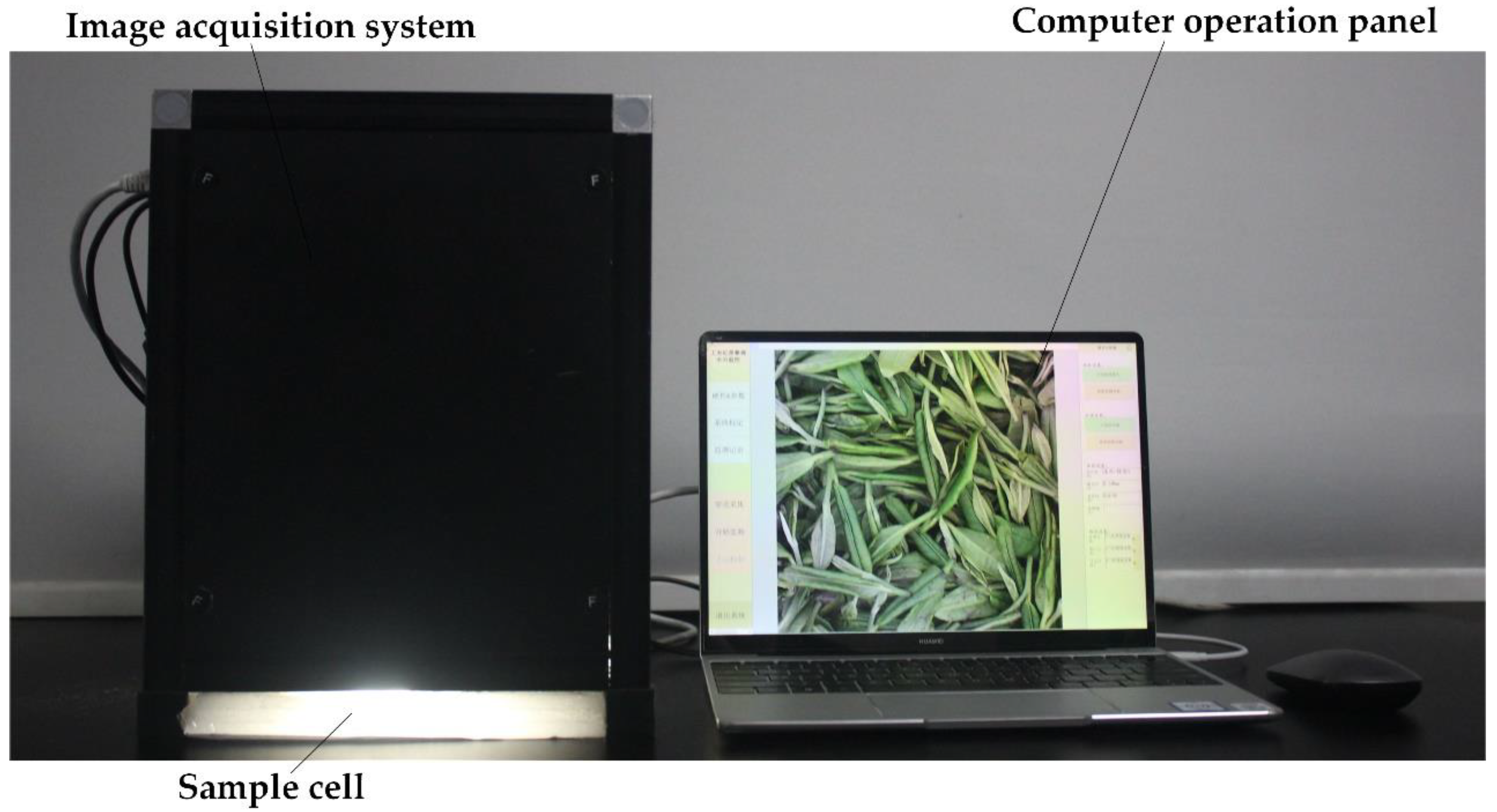 Foods 11 02928 g003 Foods 11 02928 g003
