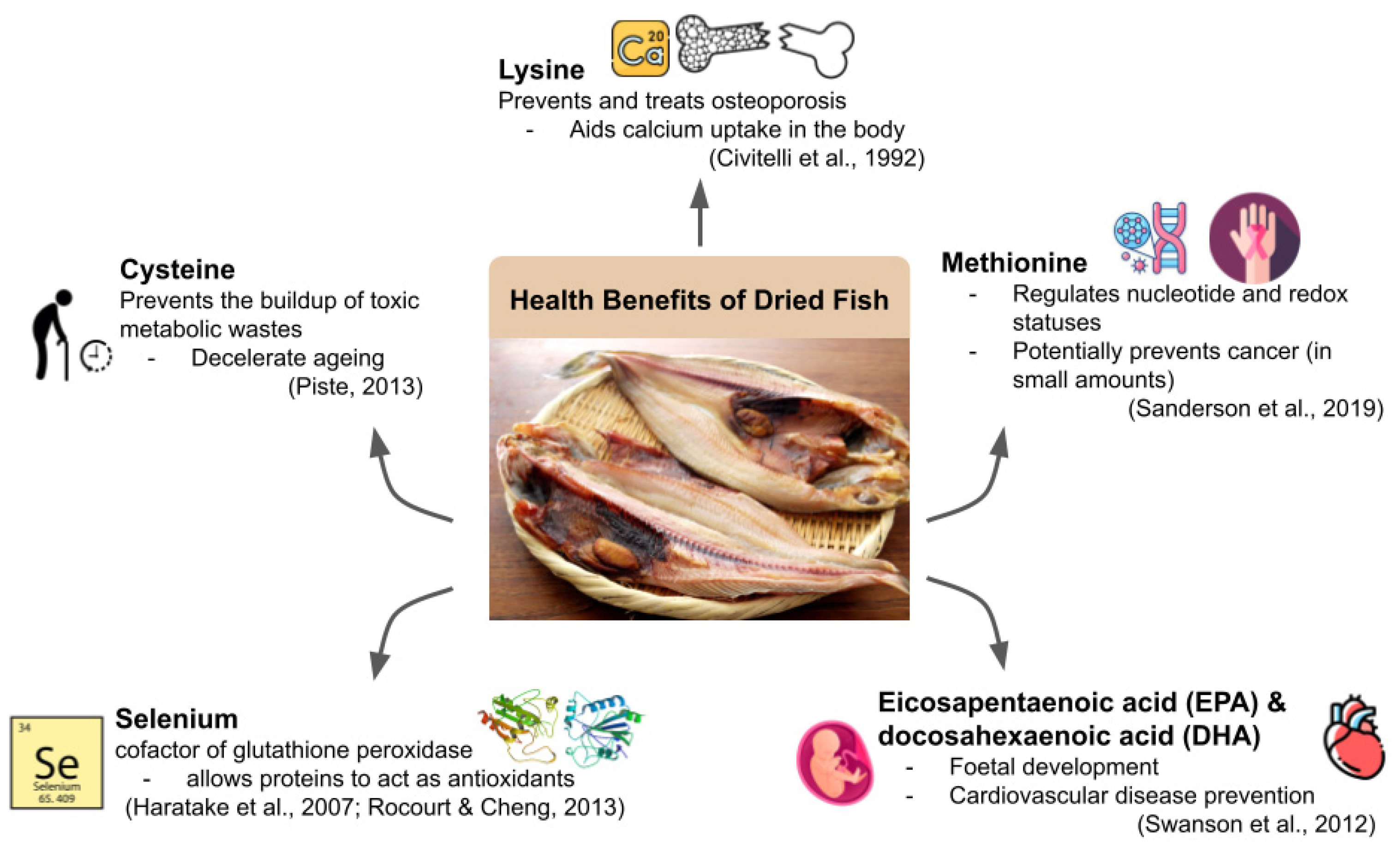 Foods Free FullText A Comprehensive Review on the Processing of