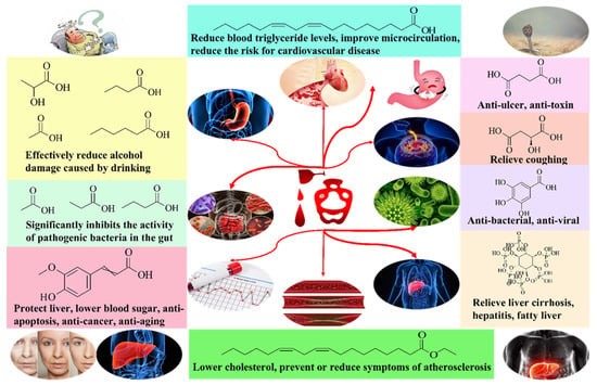 Image result for Sippin' Science: Unraveling the Mystery of Alcohol Metabolism and Intoxication Levels infographics