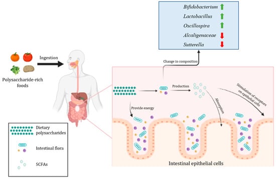 Dietary Polysaccharides