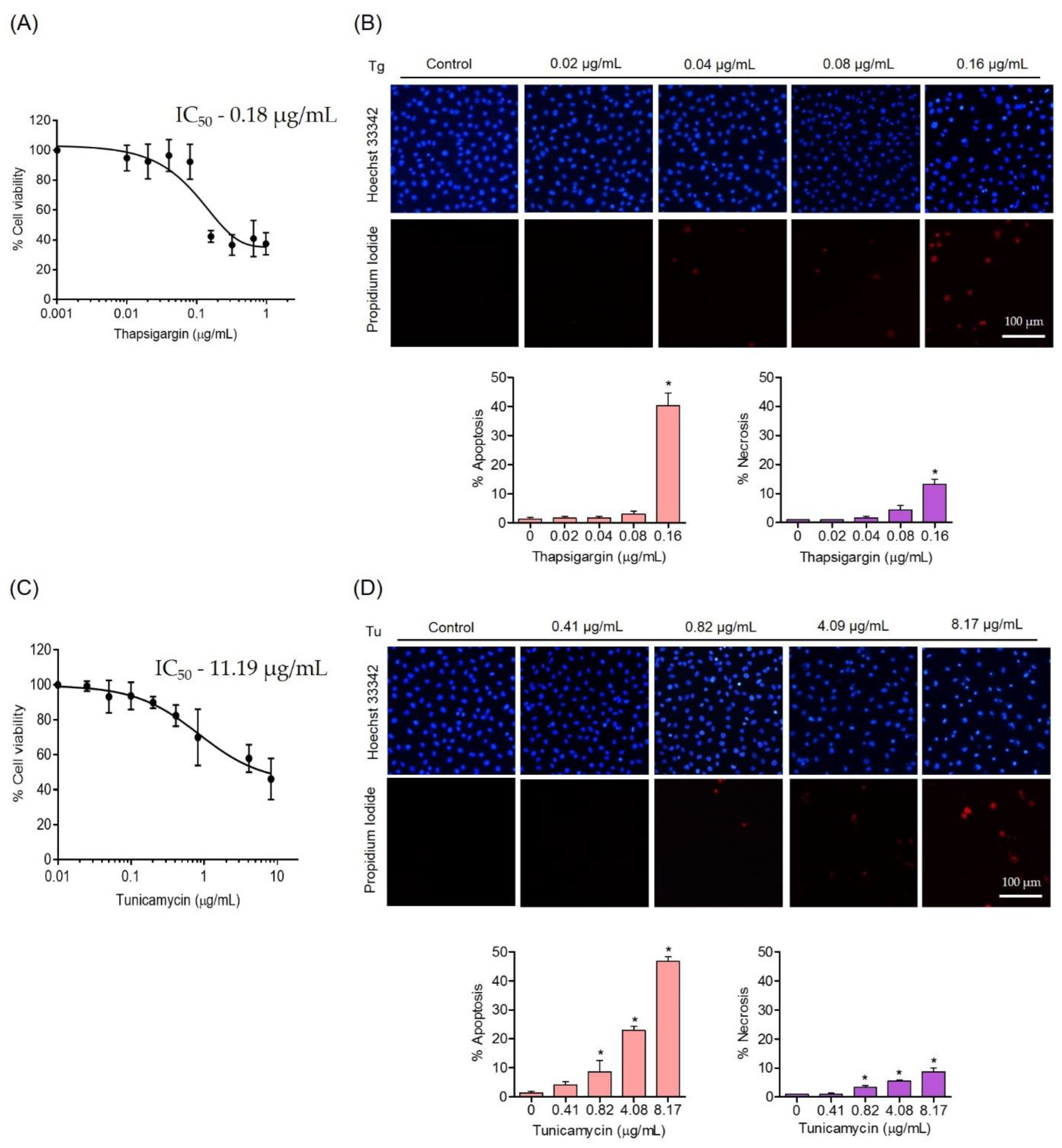 Foods 11 03076 g003 Foods 11 03076 g003