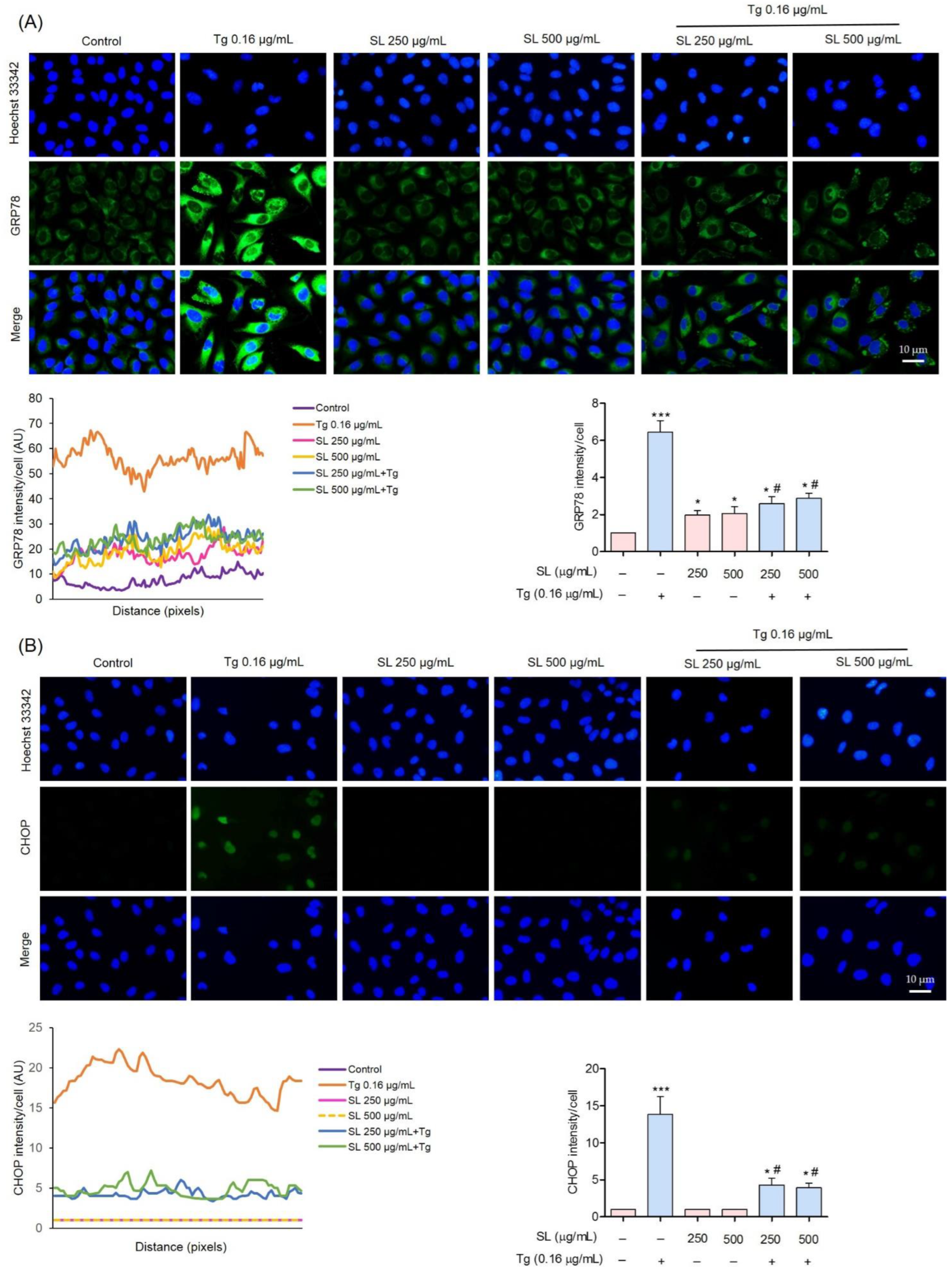 Foods 11 03076 g006 Foods 11 03076 g006