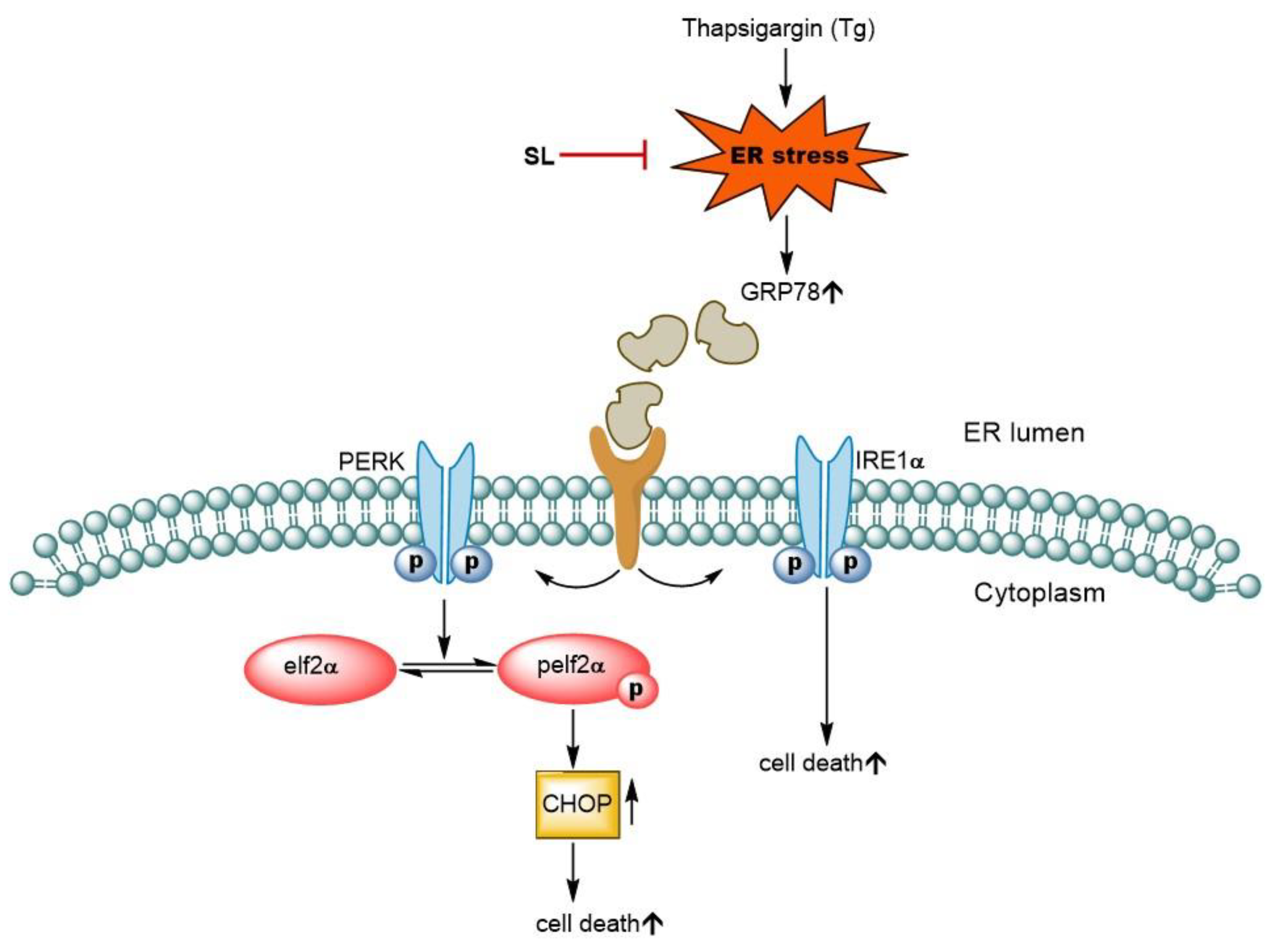 Foods 11 03076 g007 Foods 11 03076 g007