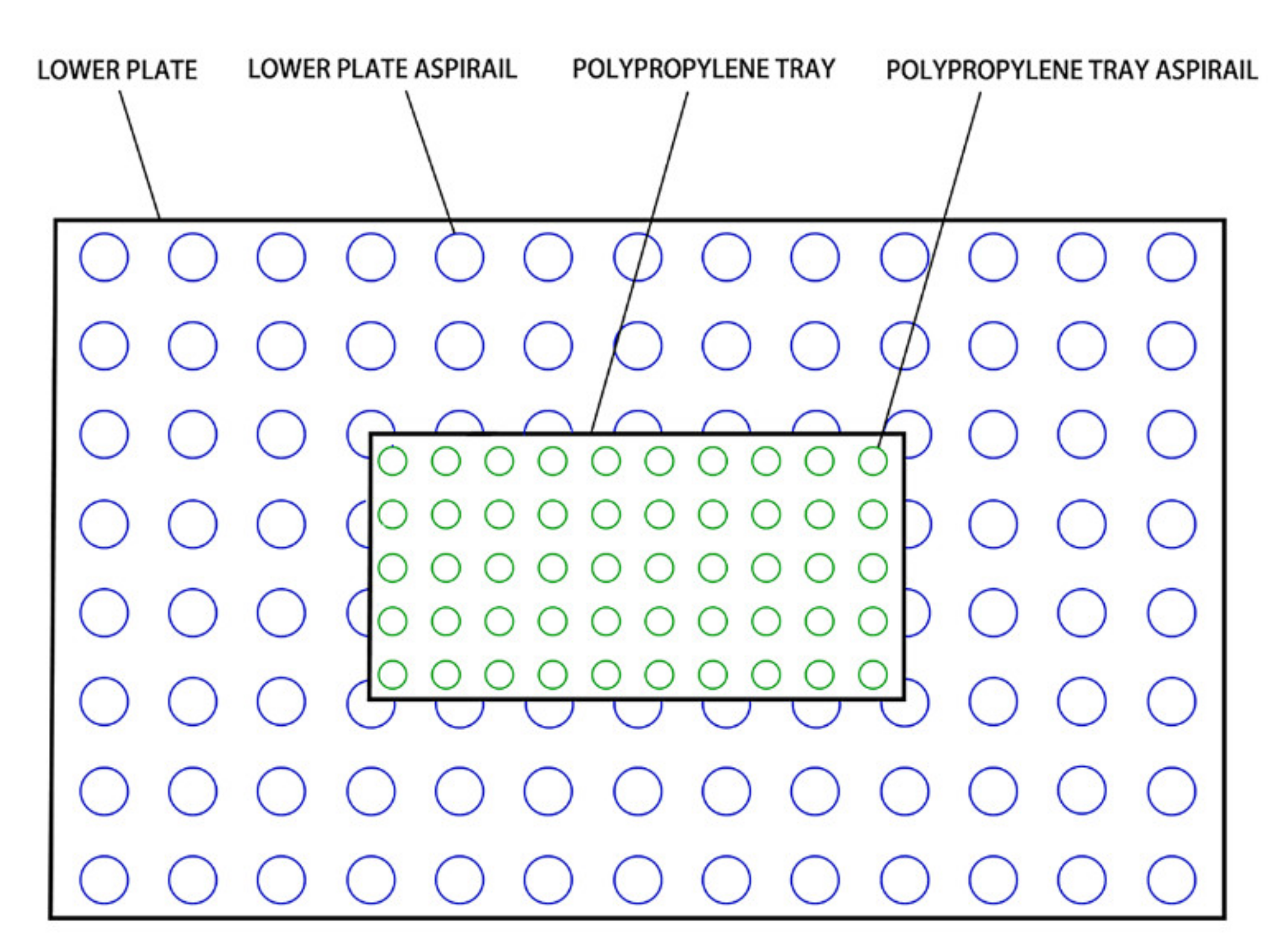 Foods 11 03086 g002 Foods 11 03086 g002