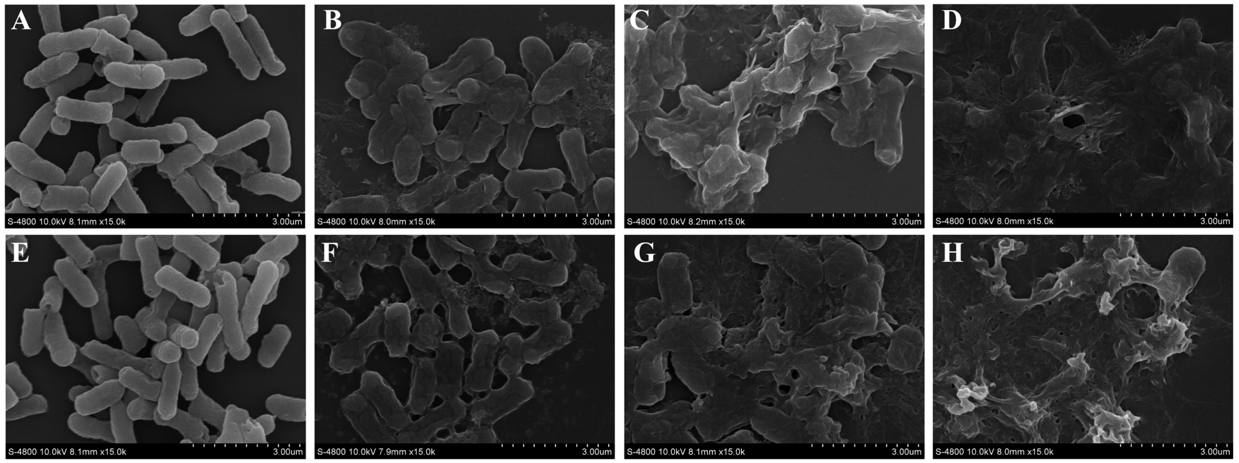 Foods 11 03160 g006 Foods 11 03160 g006