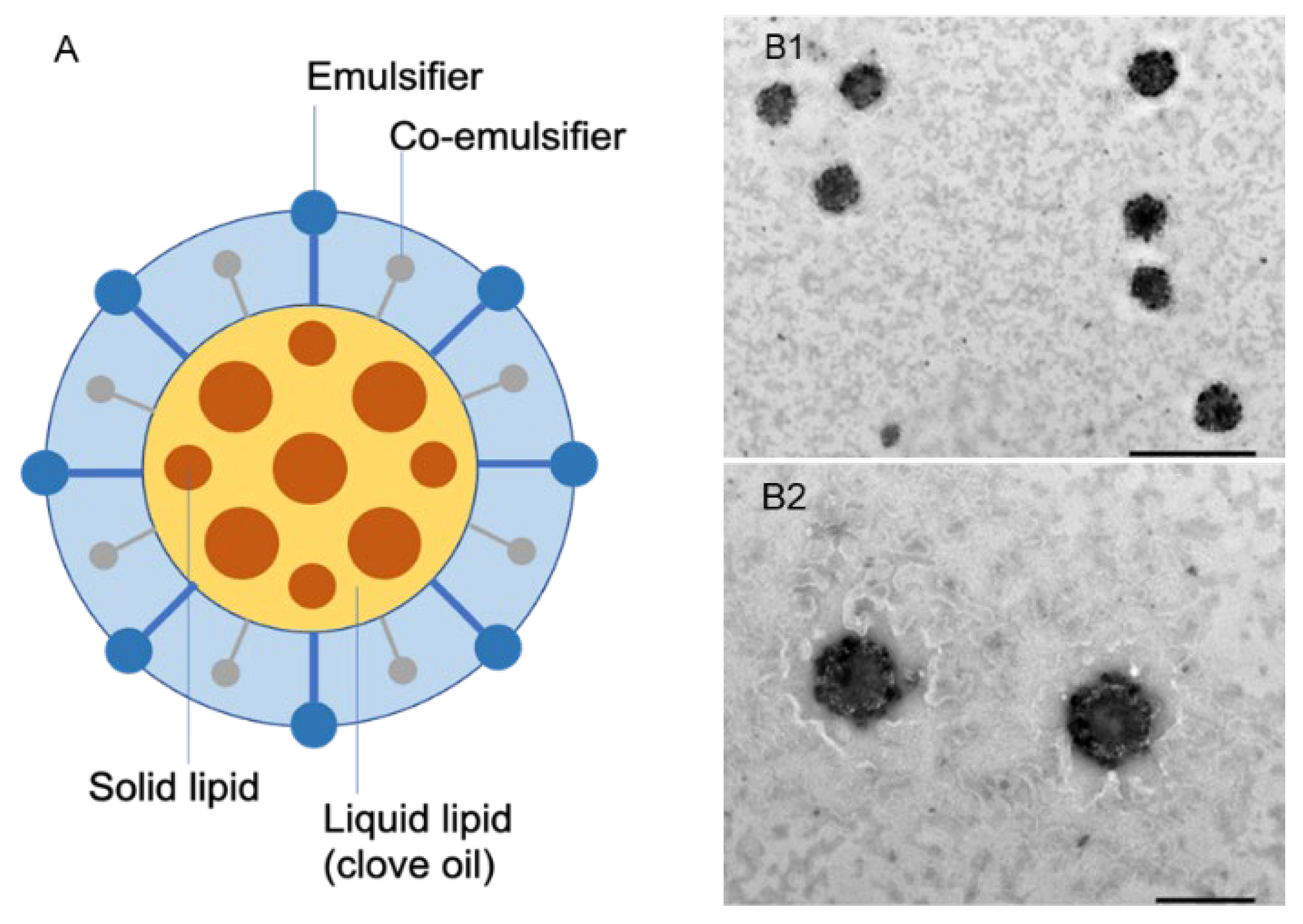 Foods 11 03162 g002 Foods 11 03162 g002