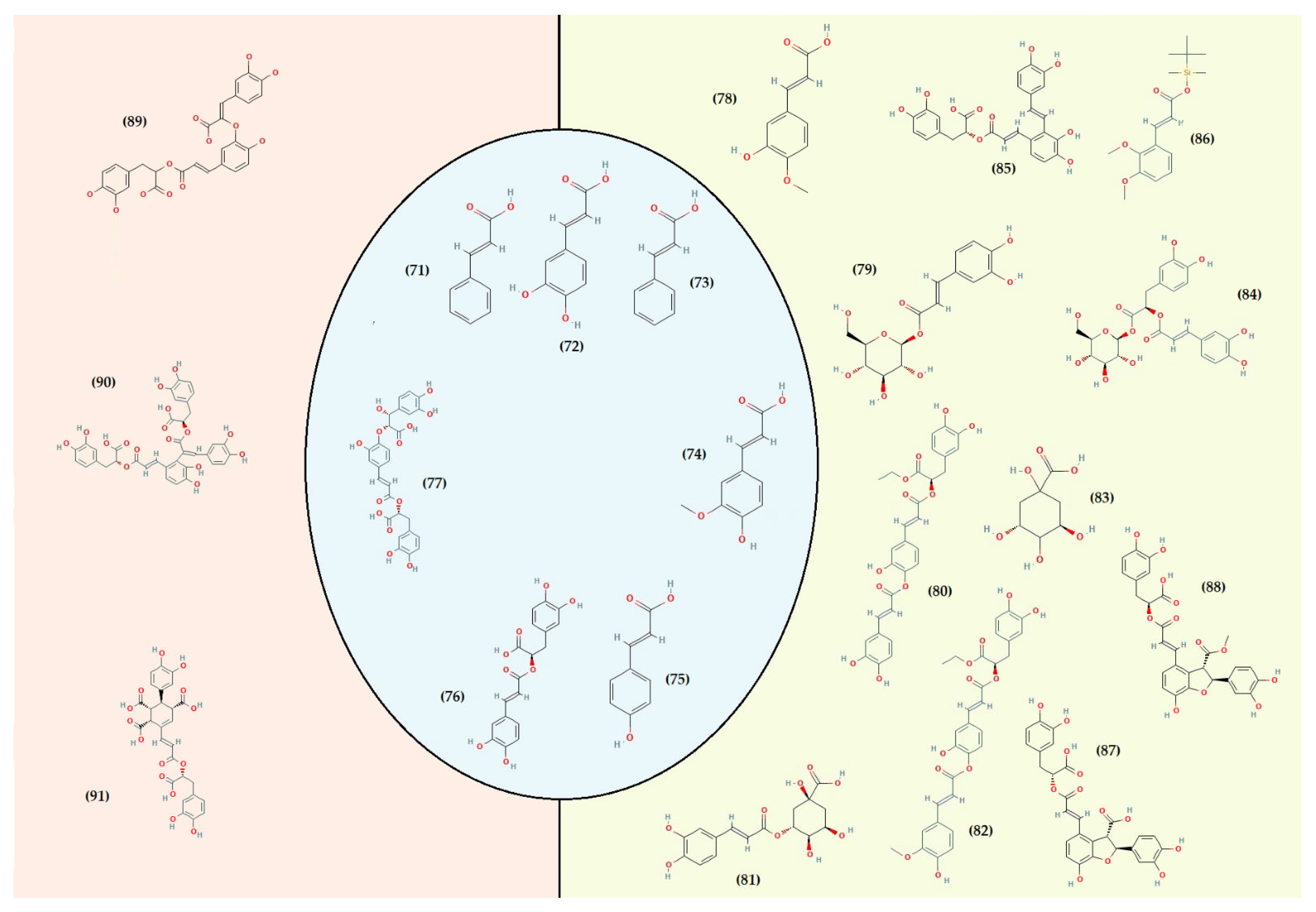Foods 11 03195 g005 Foods 11 03195 g005