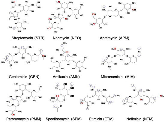 Foods Free Full Text Development of a Fluorescence