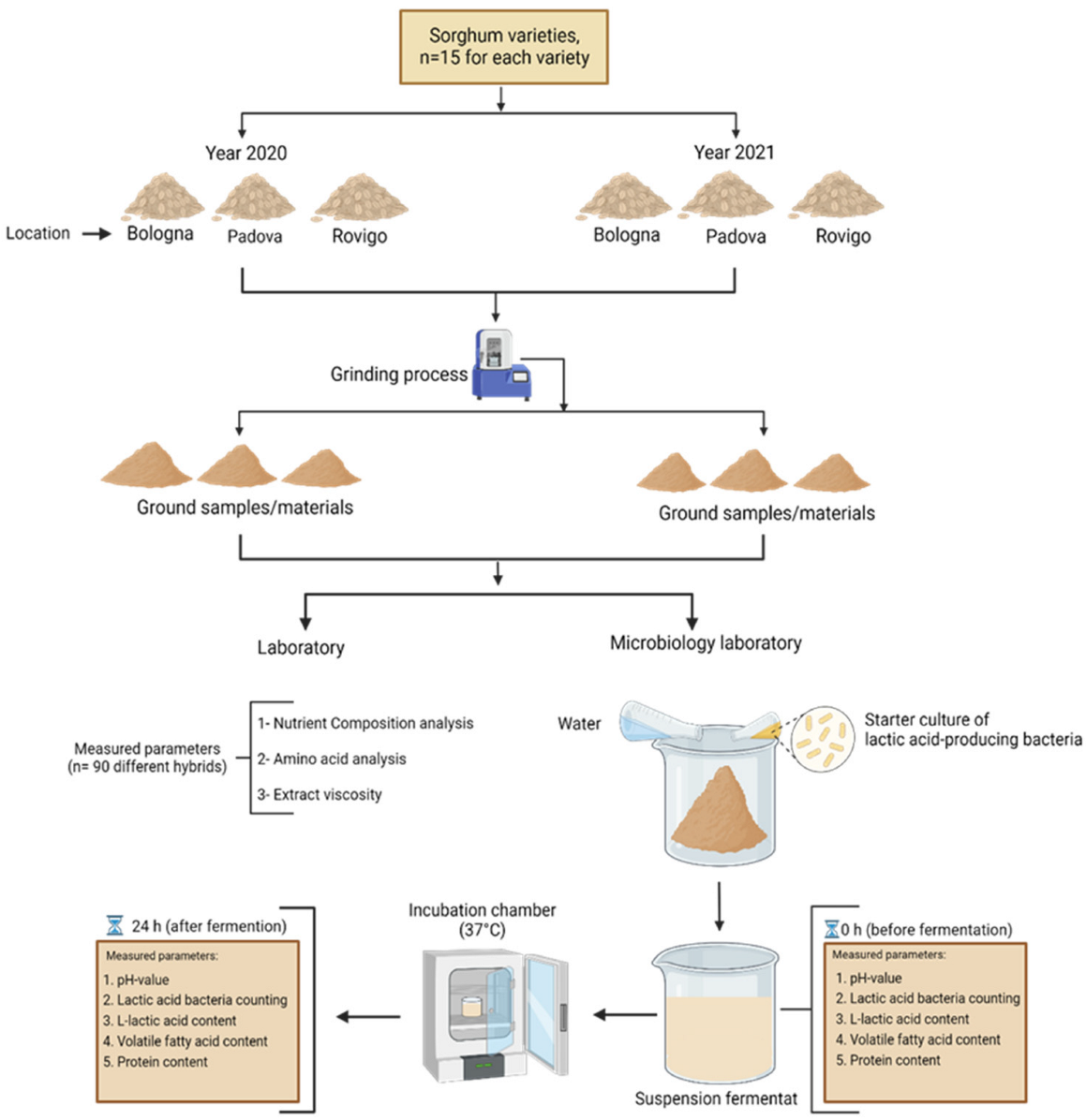 Chemical composition (% DM) and GE content of the diets and broken rice