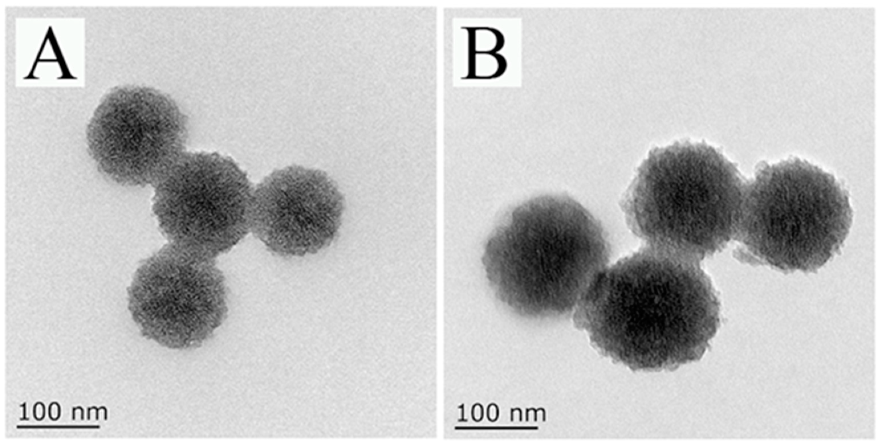 Foods 11 03331 g002 Foods 11 03331 g002