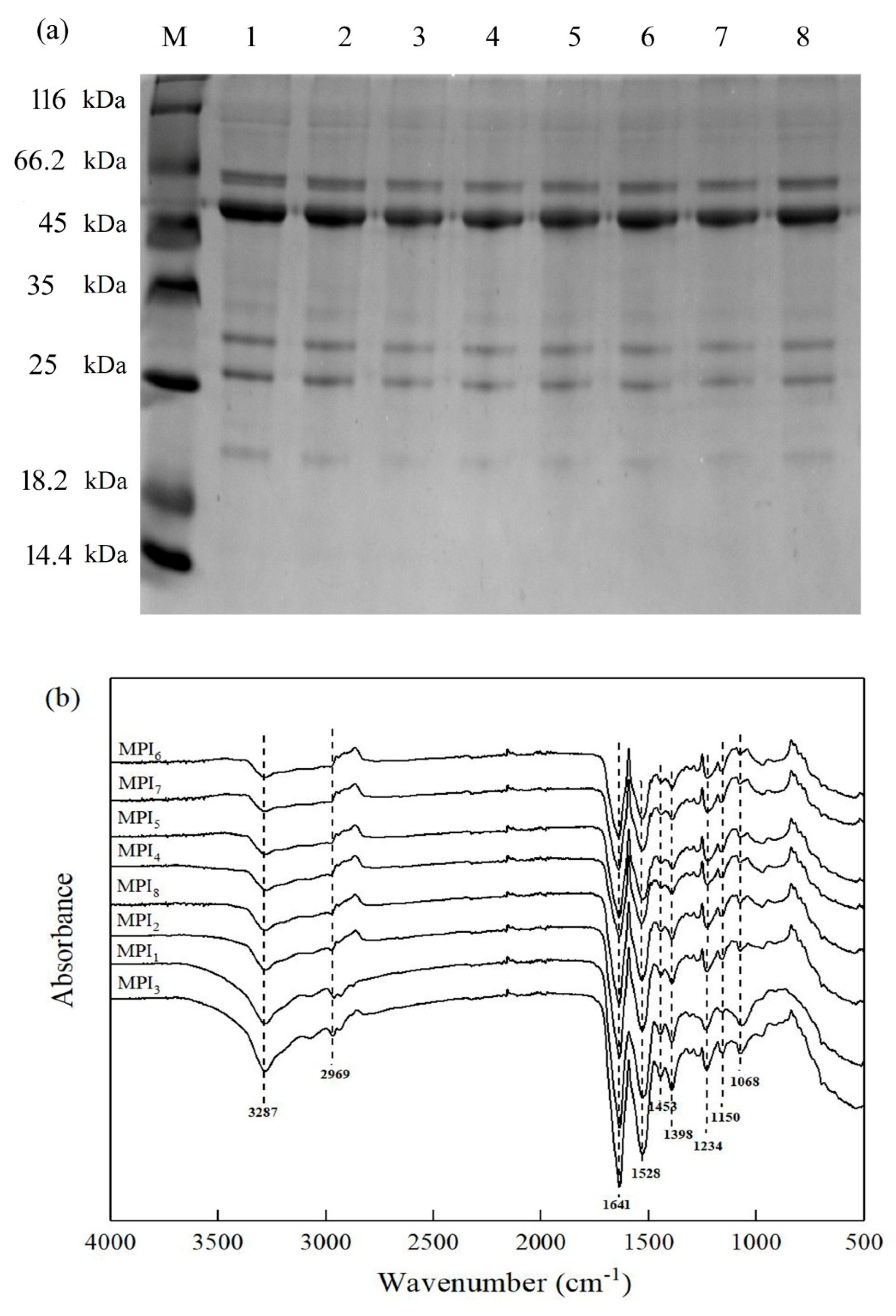 Foods | Free Full-Text | Study On Protein Structures Of Eight Mung Bean ...