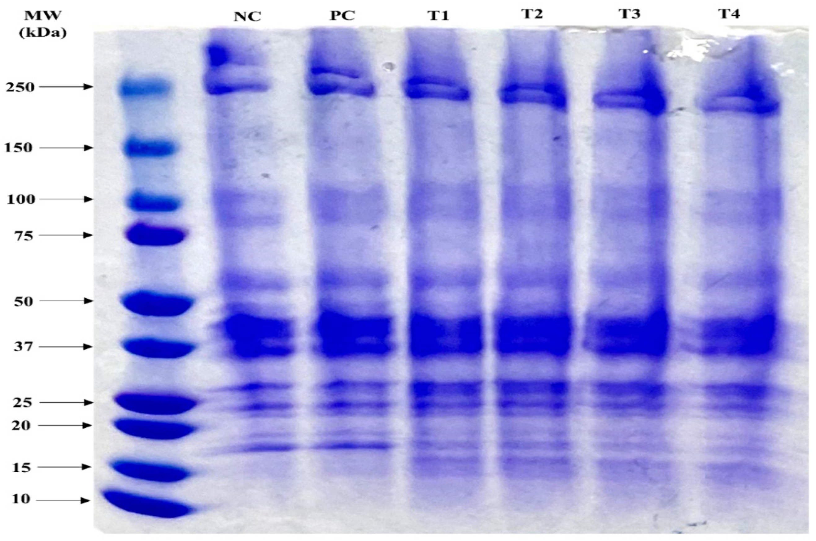 Foods 11 03354 g001 Foods 11 03354 g001