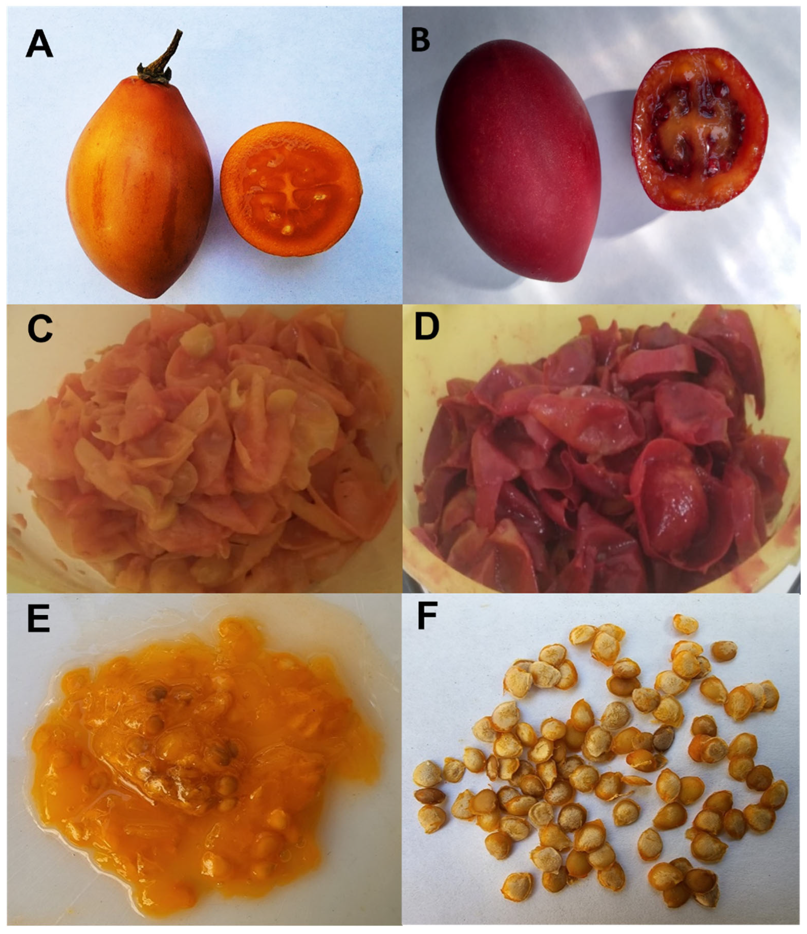 Foods 11 03363 g002 Foods 11 03363 g002