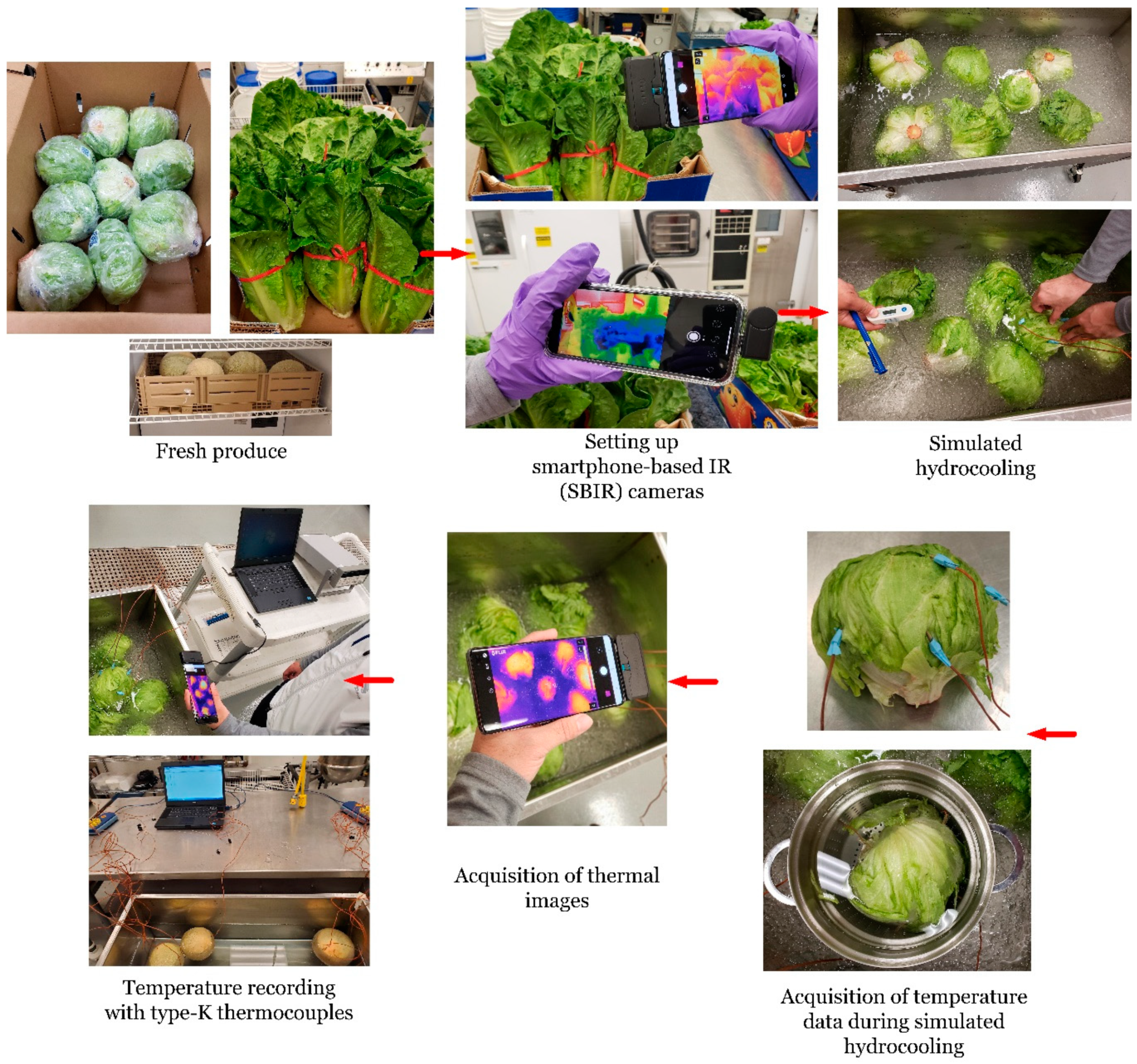 Foods | Free Full-Text | Evaluation of Low-Cost Smartphone-Based Infrared  Cameras to Assess the Cooling and Refrigerated Storage Temperatures of  Fresh Produce