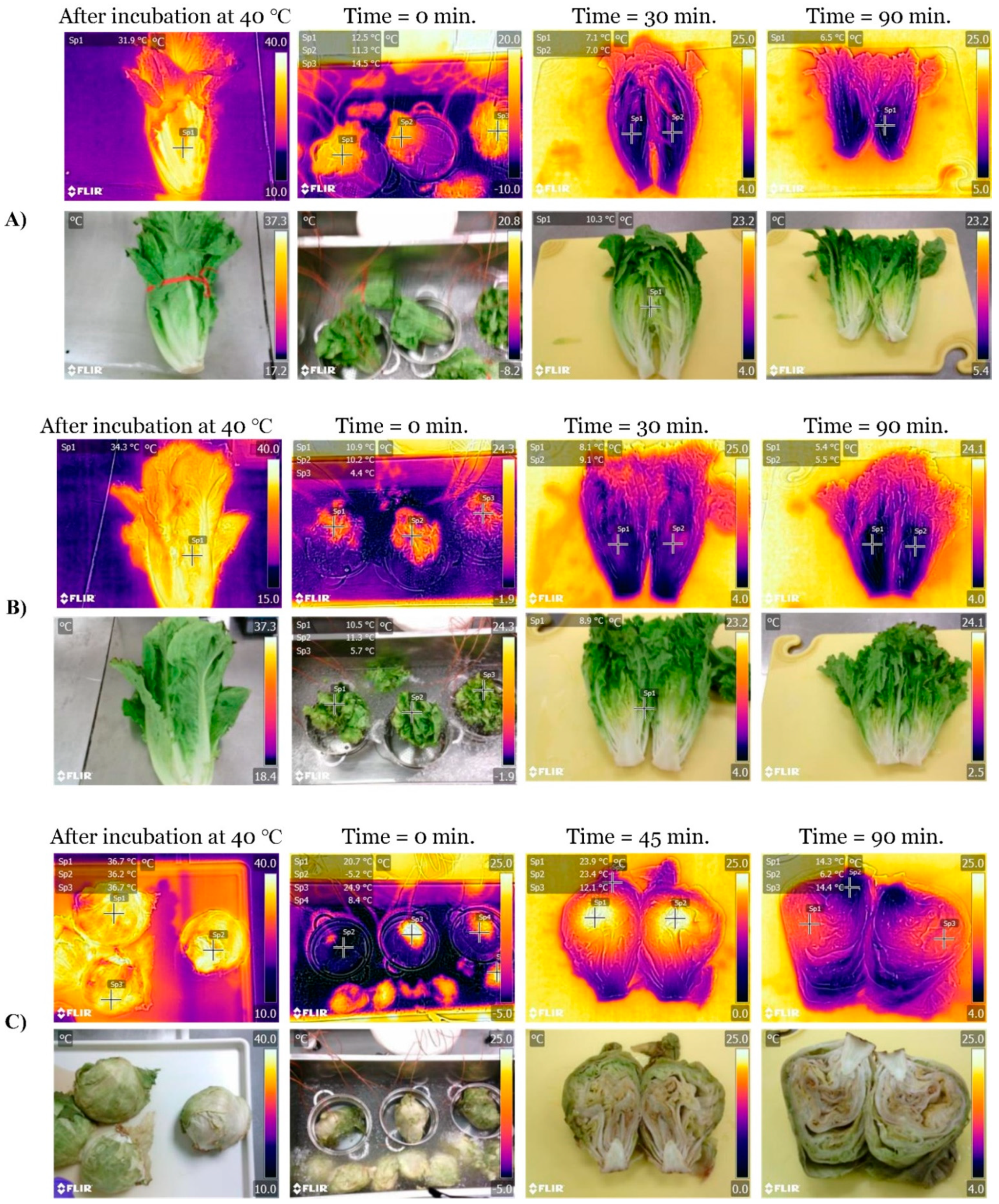 Thermal Imaging Cameras in the Food Industry