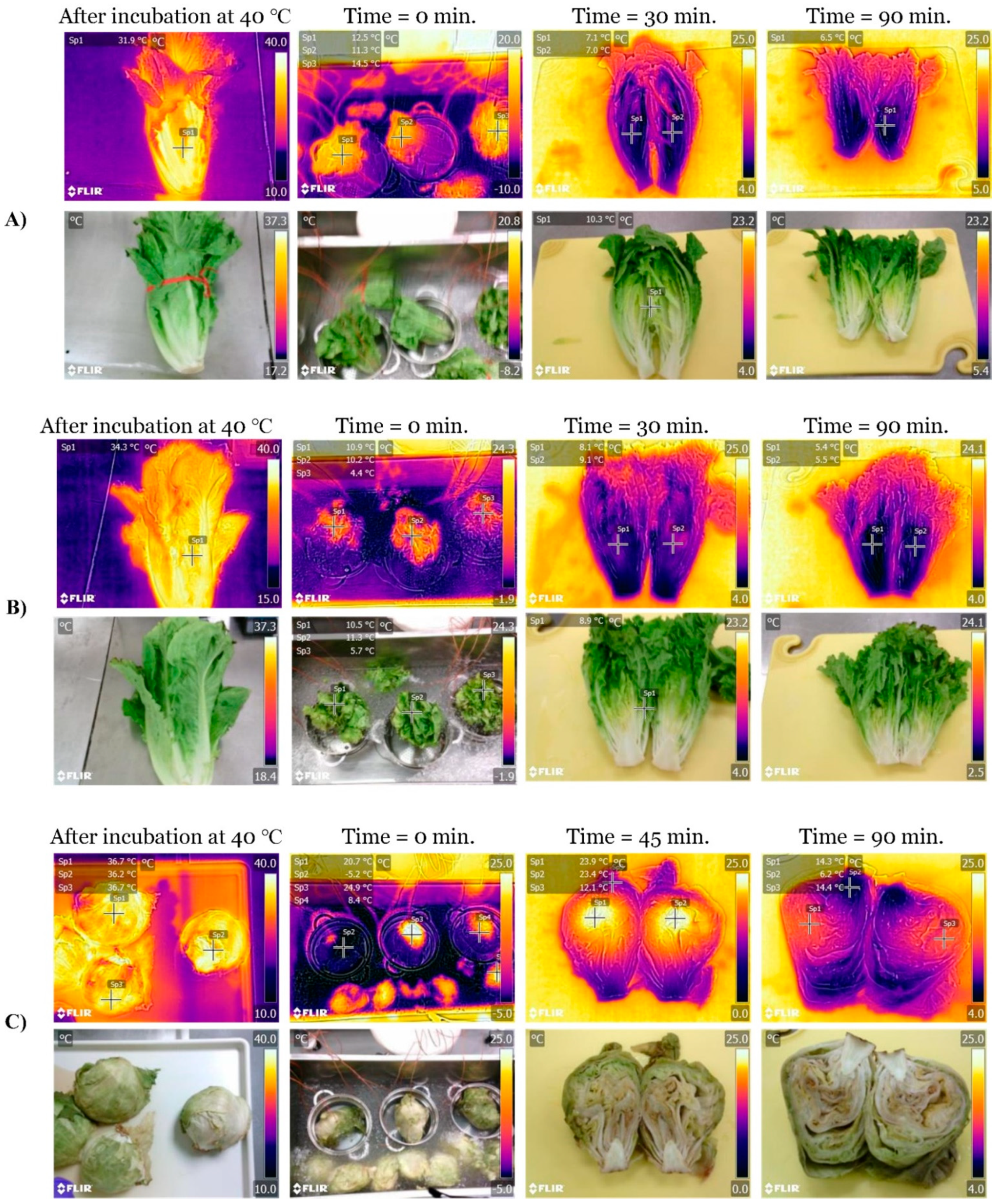 https://www.mdpi.com/foods/foods-11-03440/article_deploy/html/images/foods-11-03440-g006.png