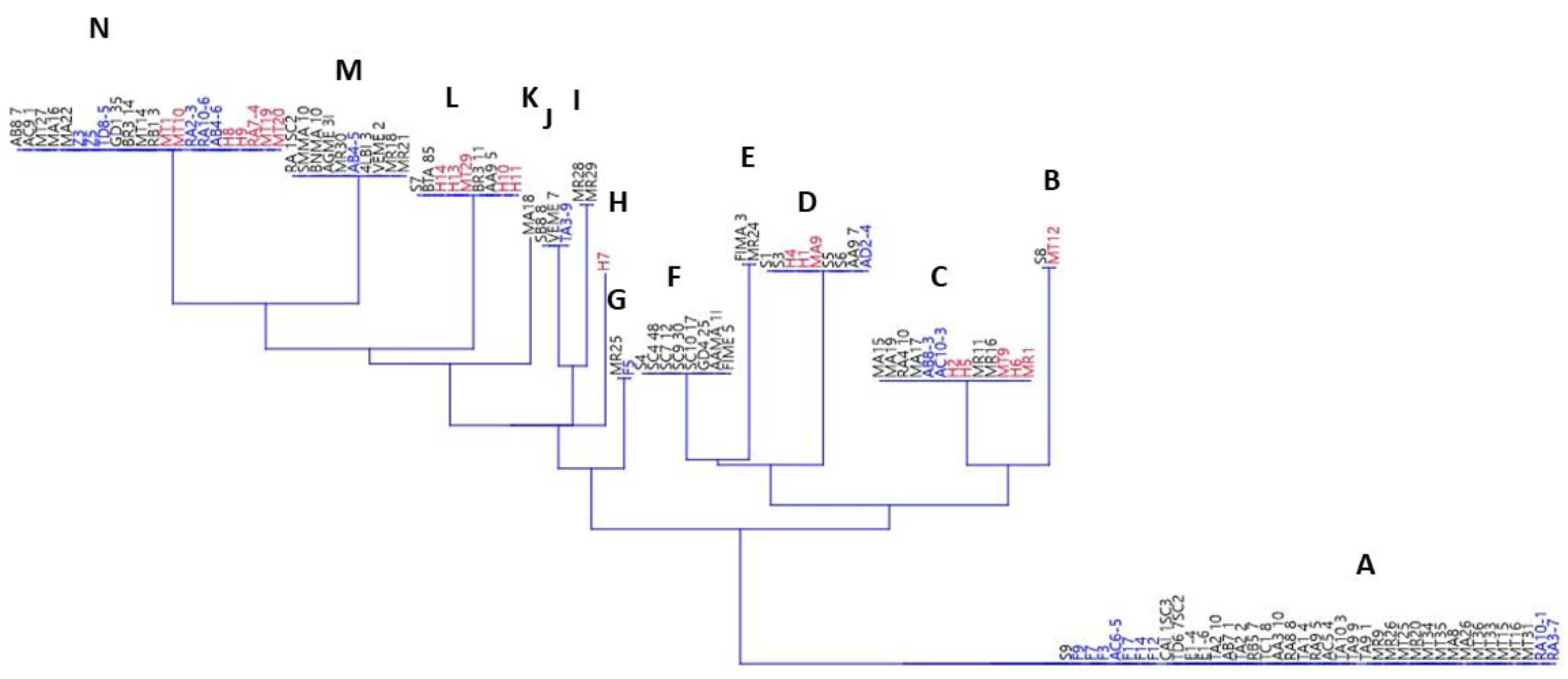 Foods 11 03587 g001 Foods 11 03587 g001