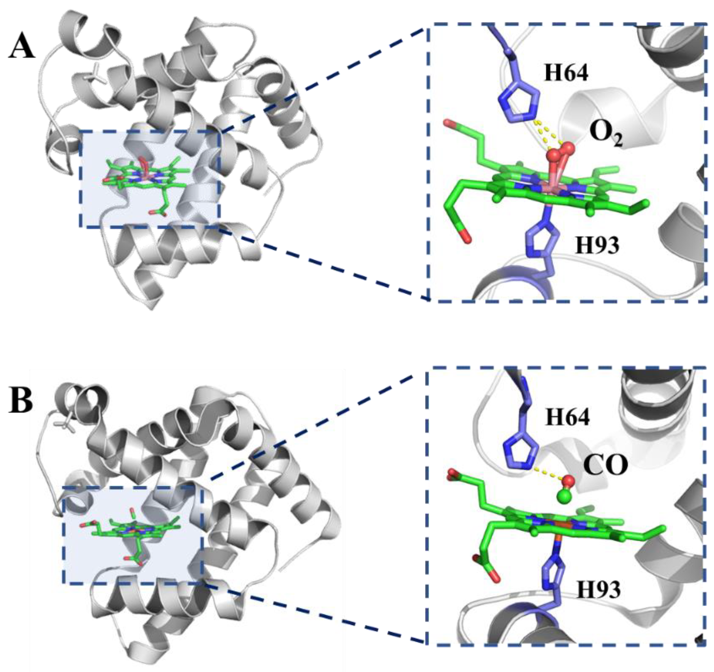 Foods 11 03594 g002 Foods 11 03594 g002