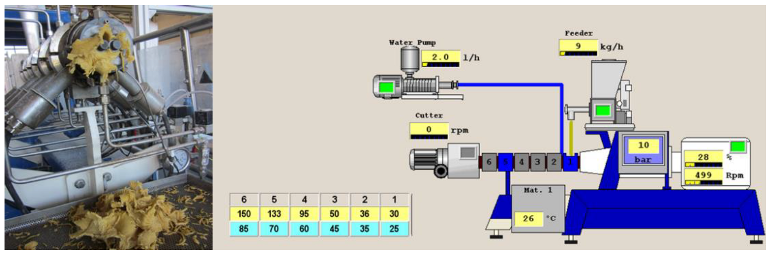 Twin-screw extrusion characterization of two varieties of soft