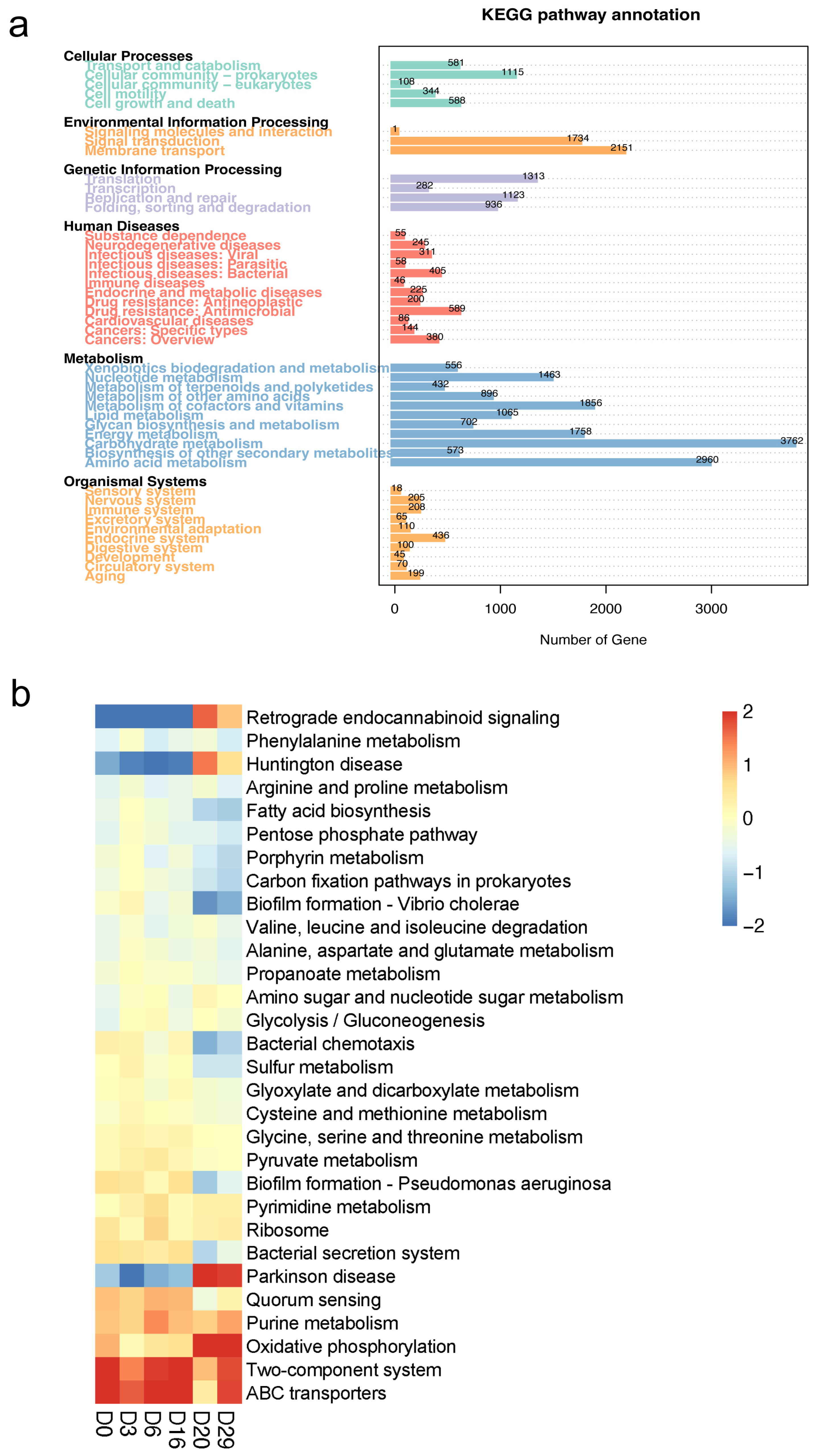Foods 11 03623 g005 Foods 11 03623 g005