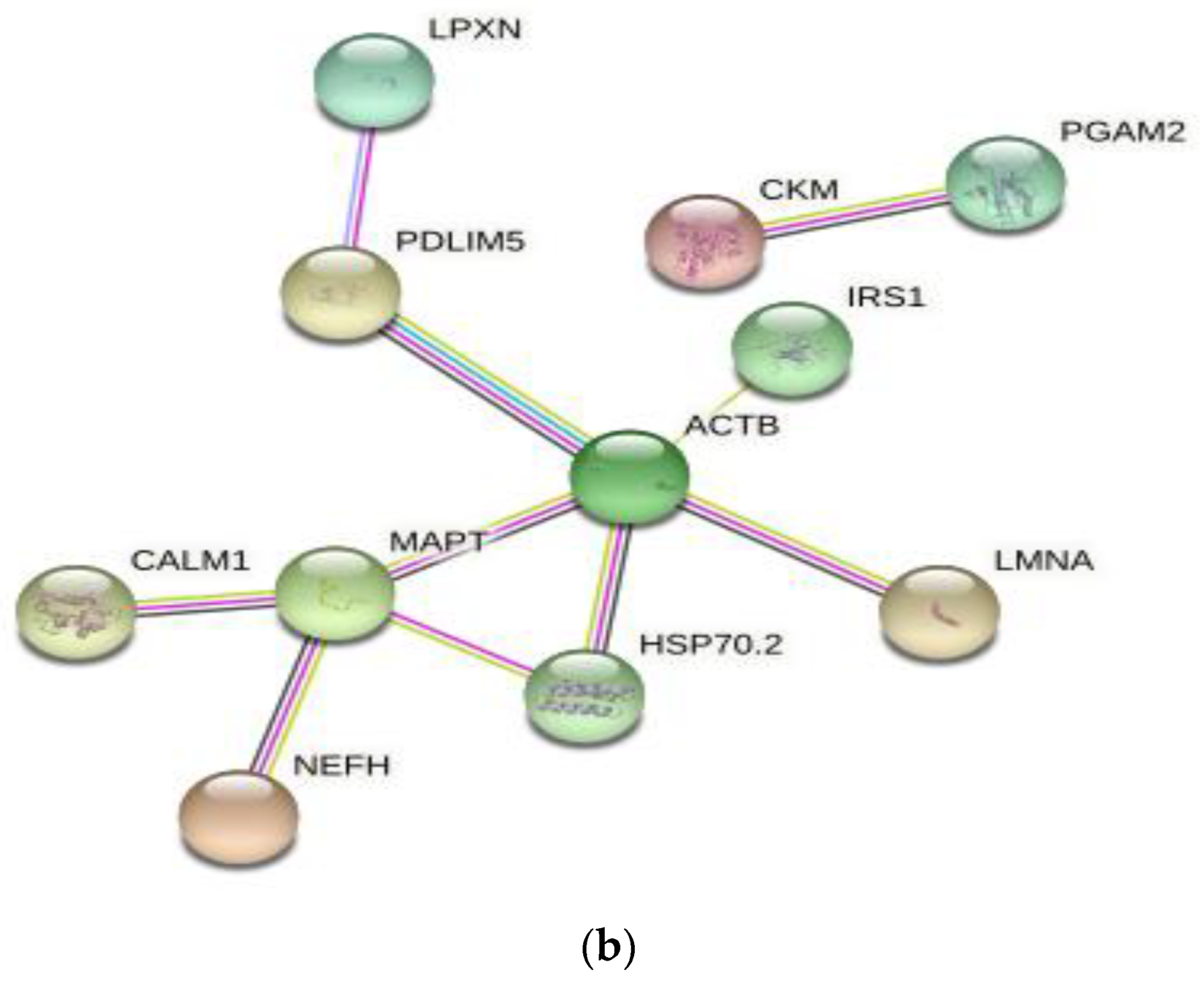 Foods 11 03751 g004b
