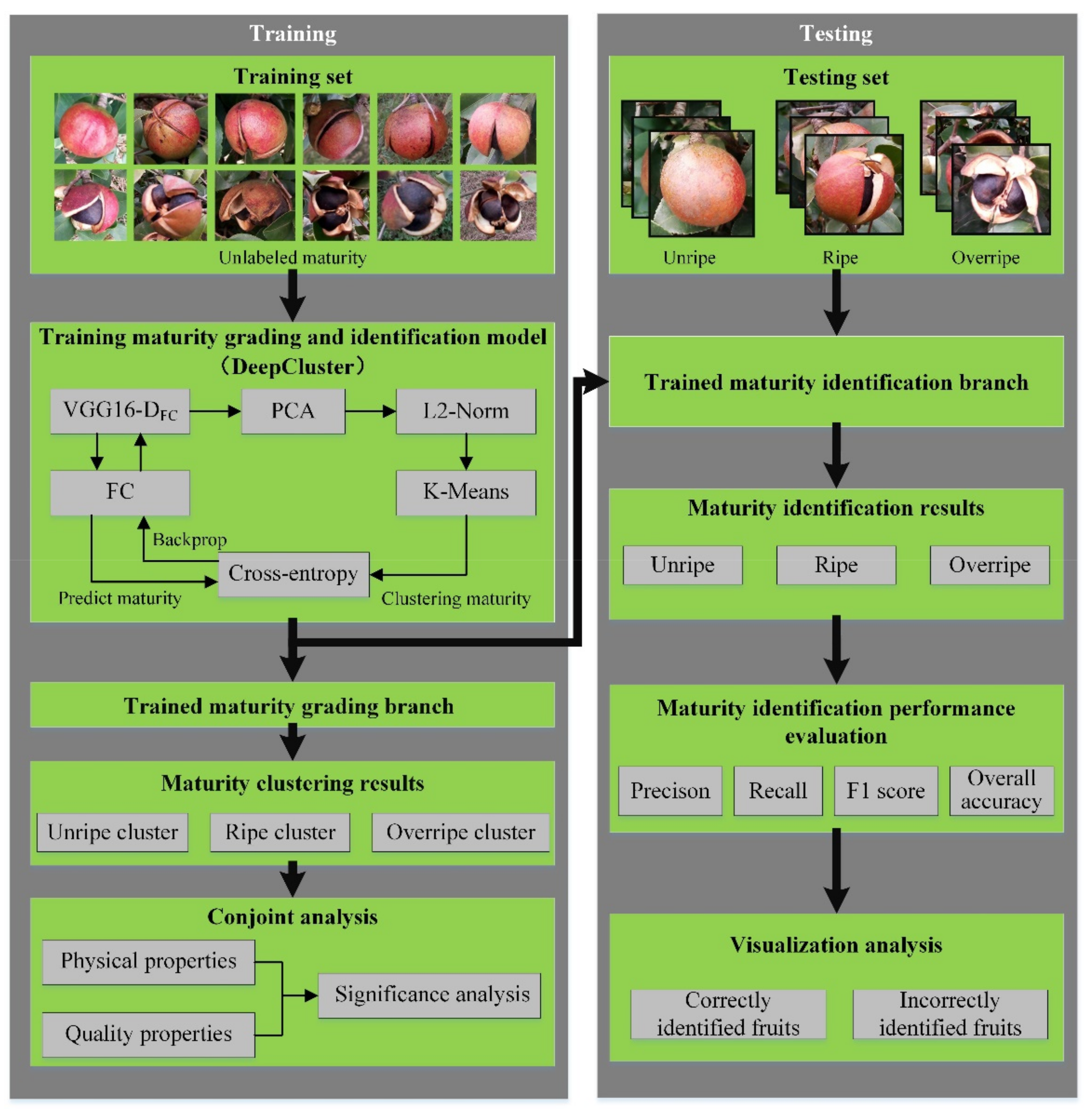 Foods 11 03800 g002 Foods 11 03800 g002