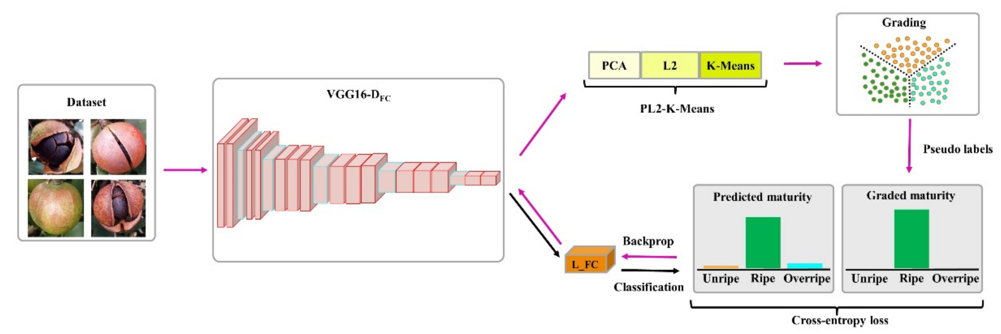 Foods 11 03800 g003 Foods 11 03800 g003