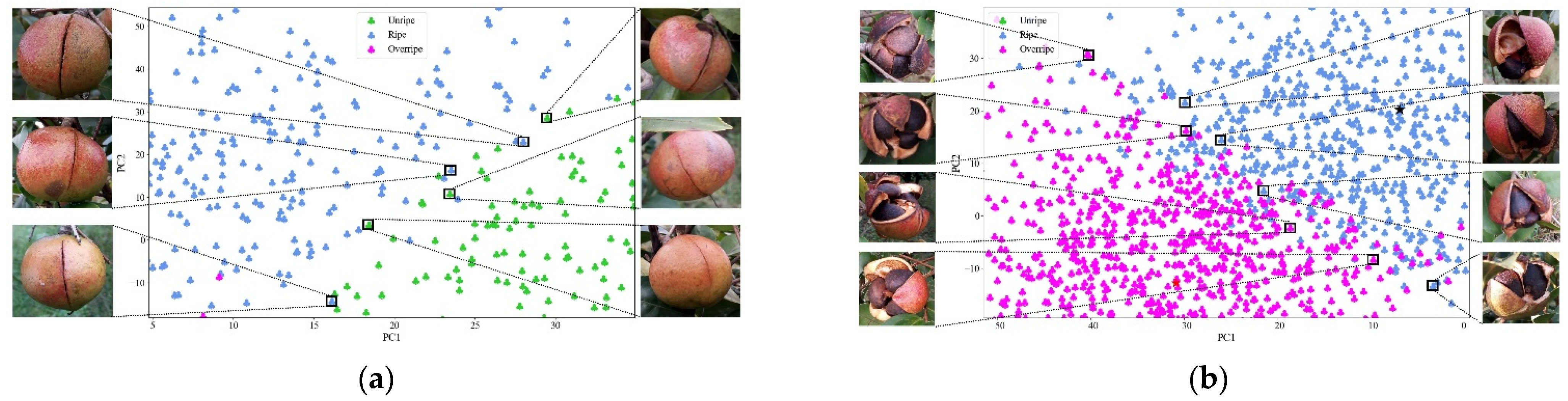 Foods 11 03800 g005 Foods 11 03800 g005