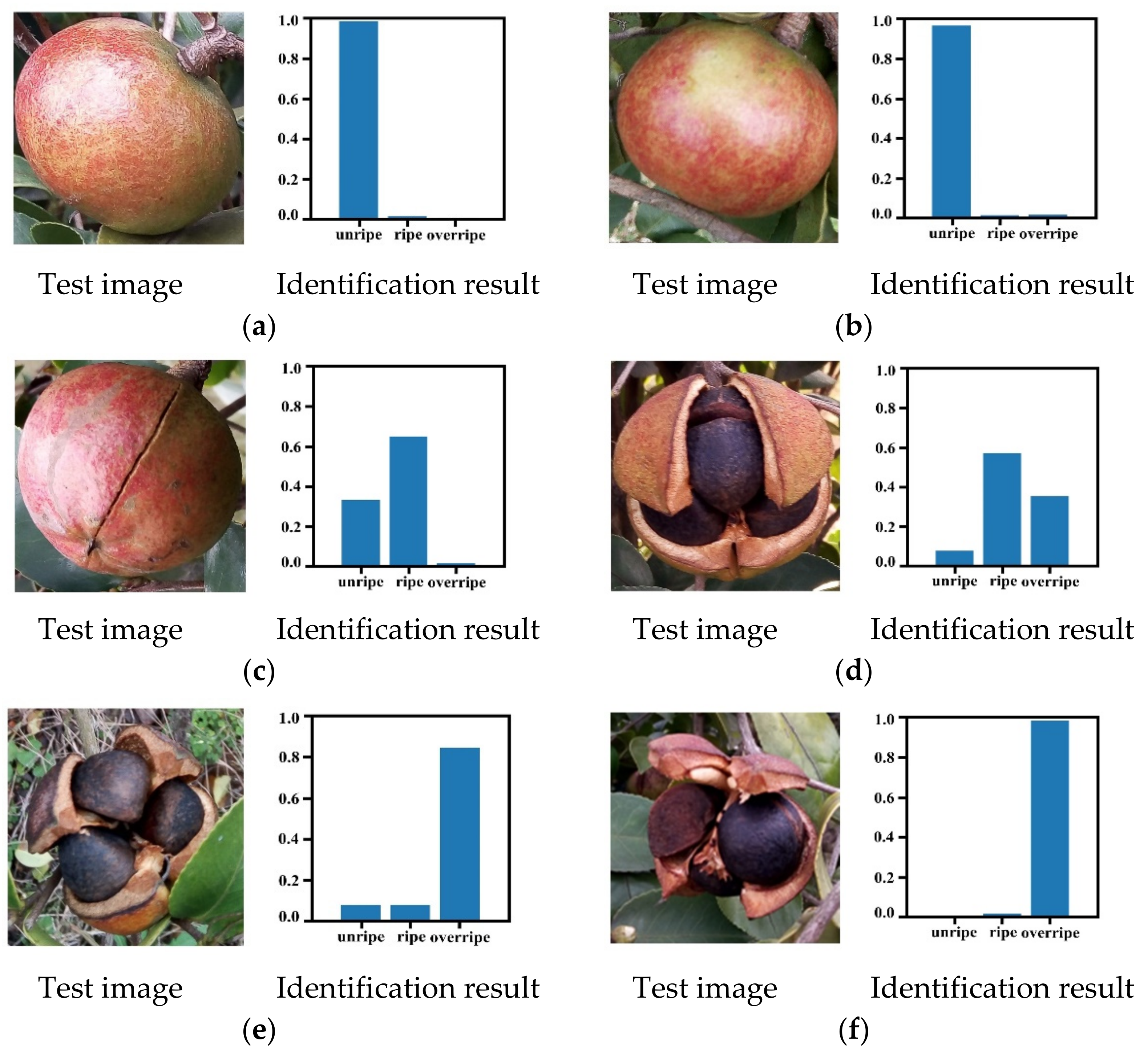 Foods 11 03800 g007 Foods 11 03800 g007