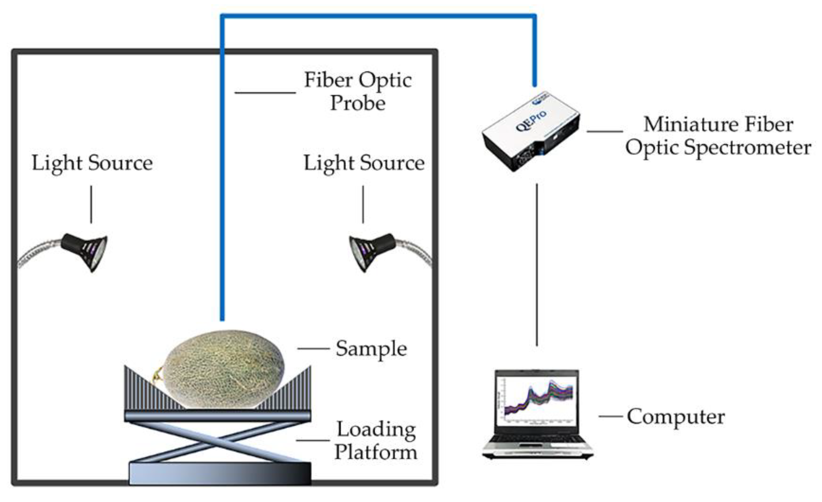 Foods 11 03881 g002 Foods 11 03881 g002