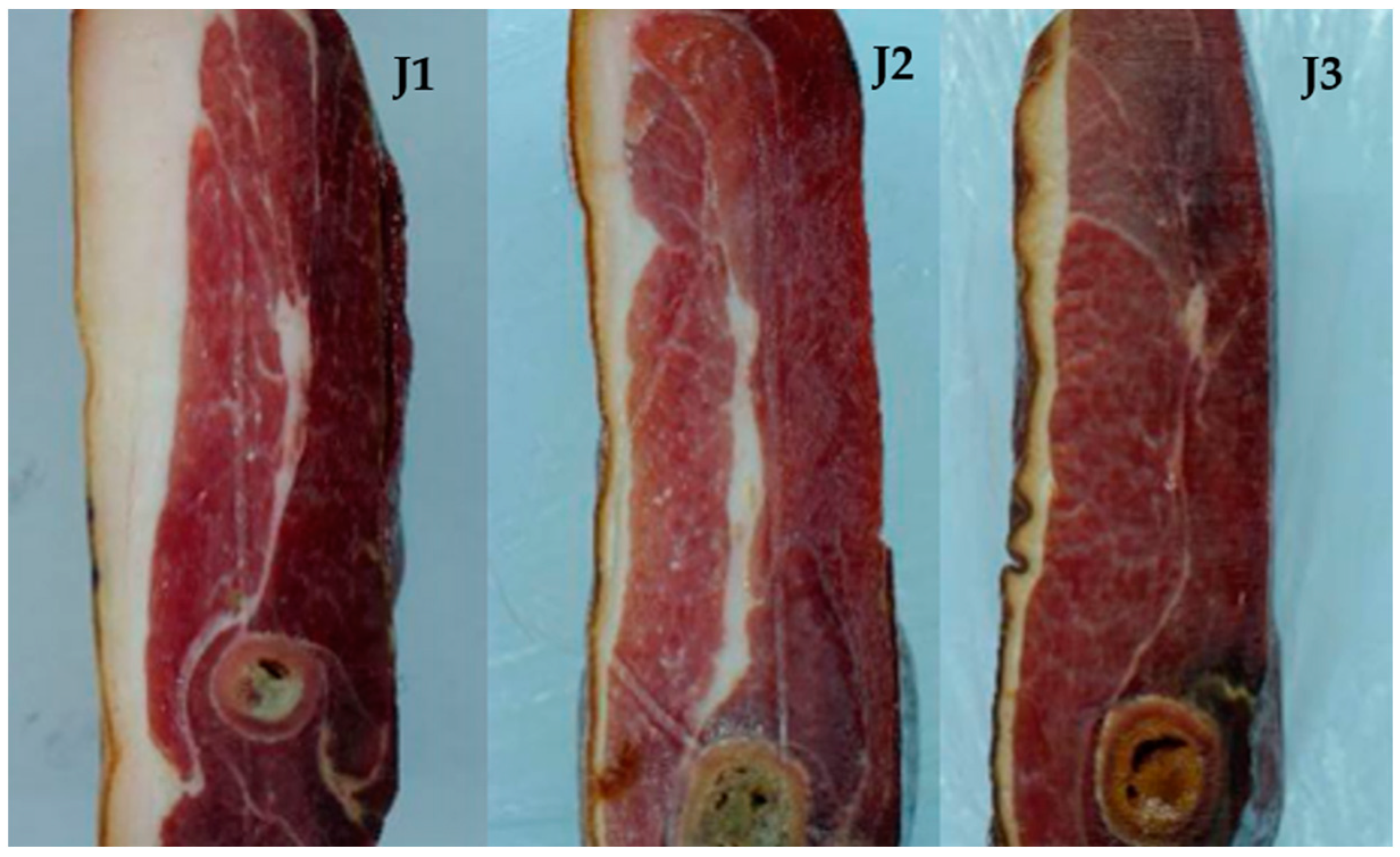 Foods 11 03897 g001 Foods 11 03897 g001