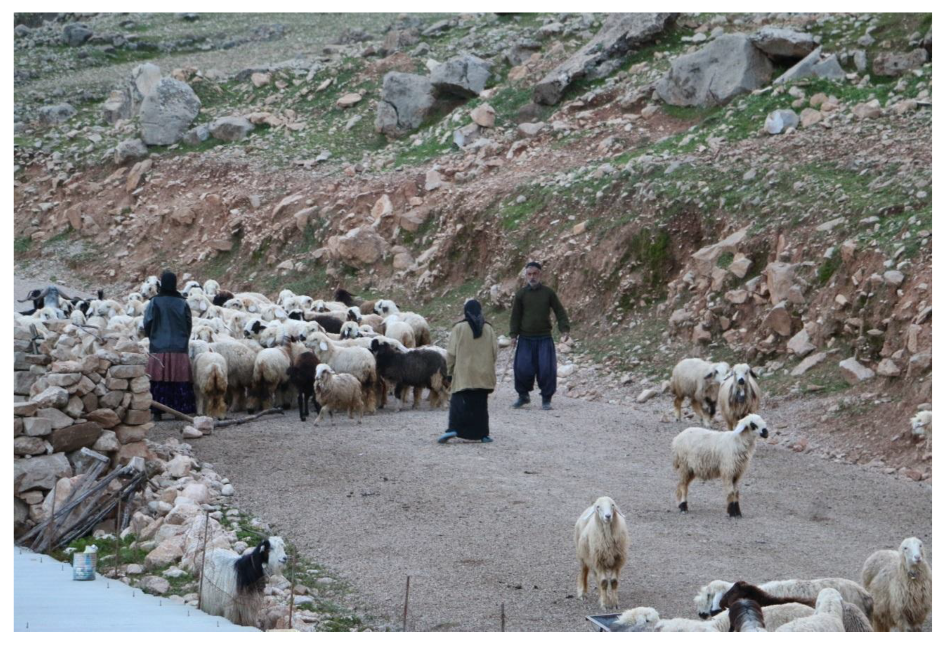 Foods 11 03898 g006 Foods 11 03898 g006