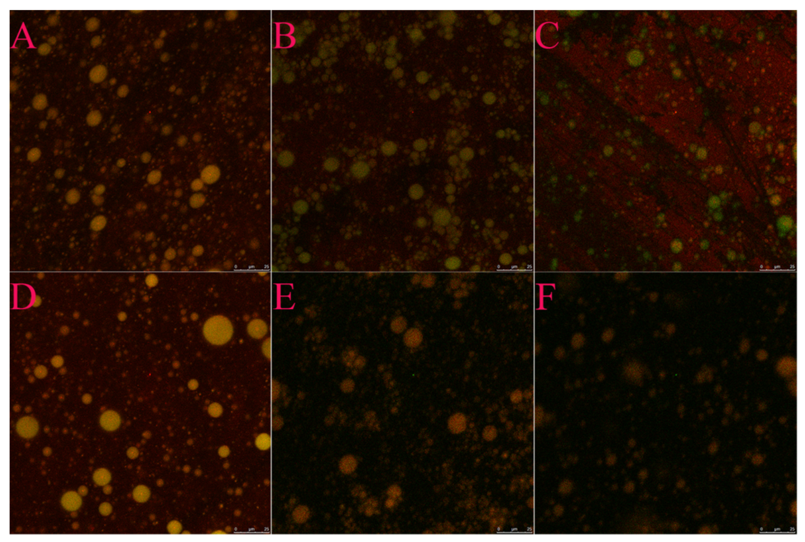 Foods 11 03923 g005 Foods 11 03923 g005