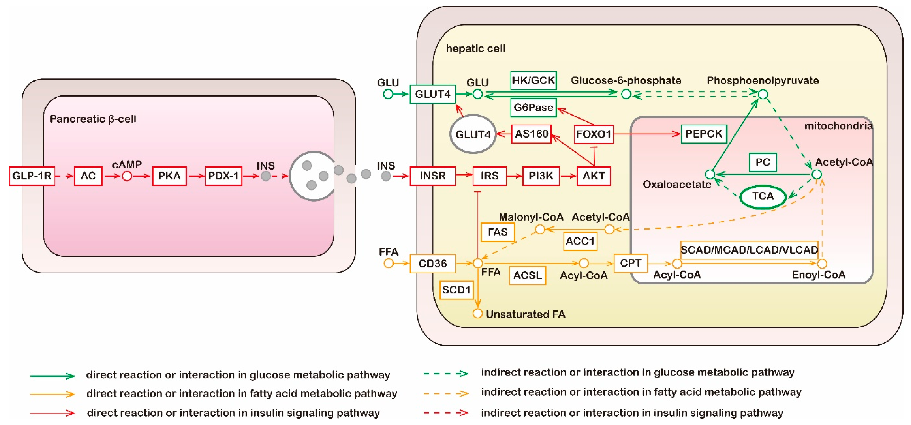 Foods 11 03941 g001 Foods 11 03941 g001