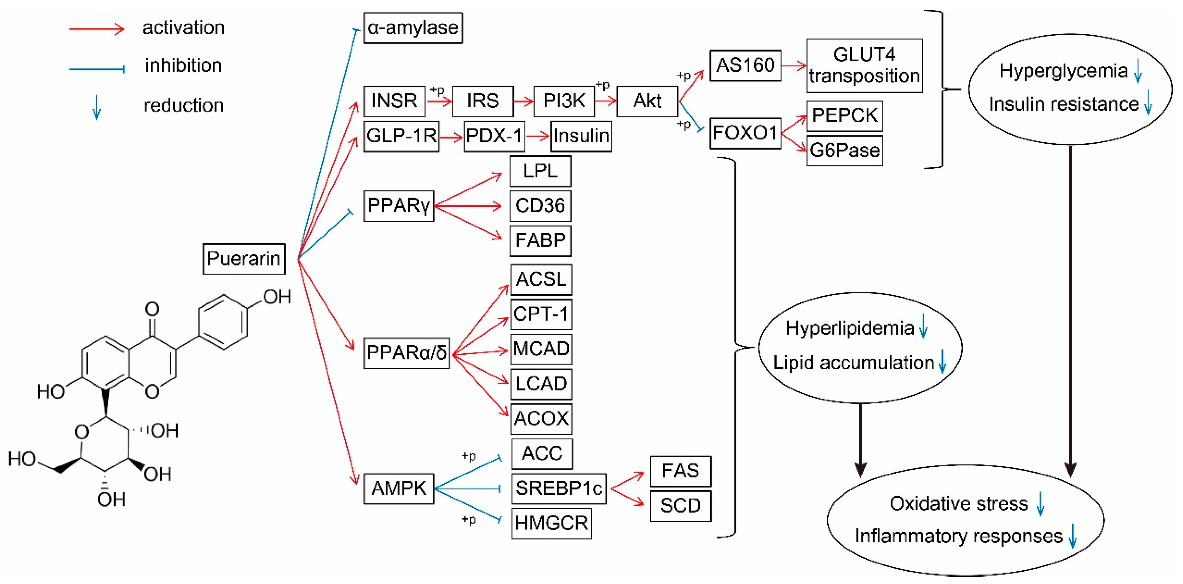 Foods 11 03941 g002 Foods 11 03941 g002