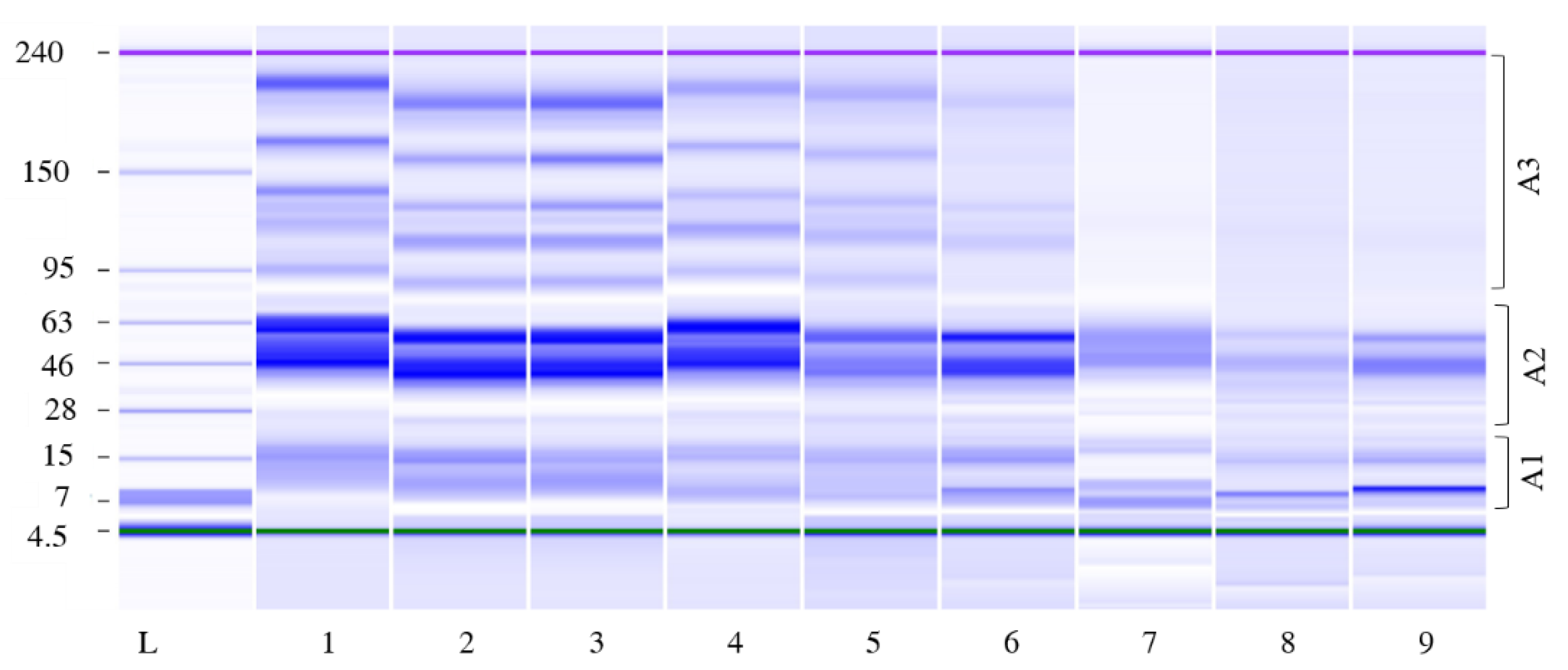 Foods 11 03942 g004 Foods 11 03942 g004