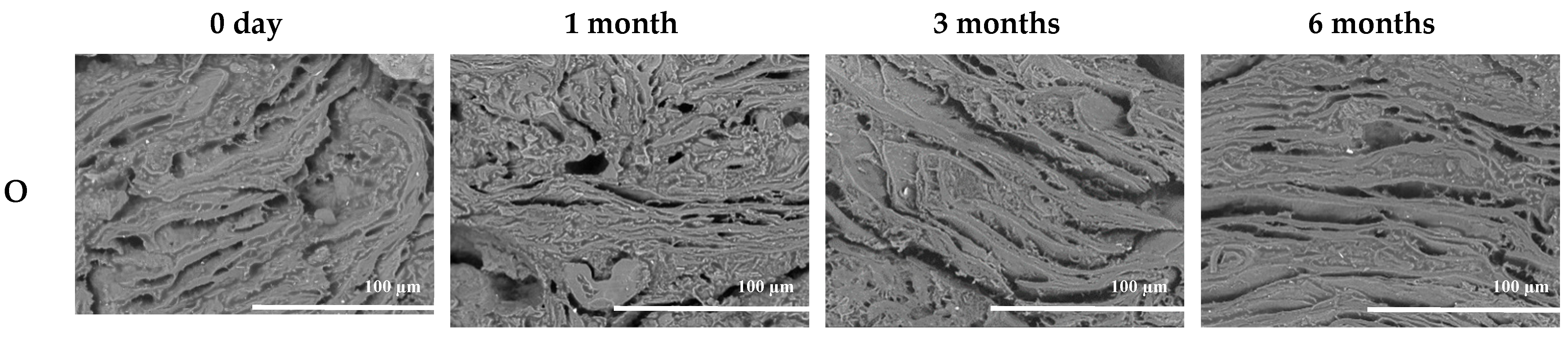 Foods 11 03977 g003a