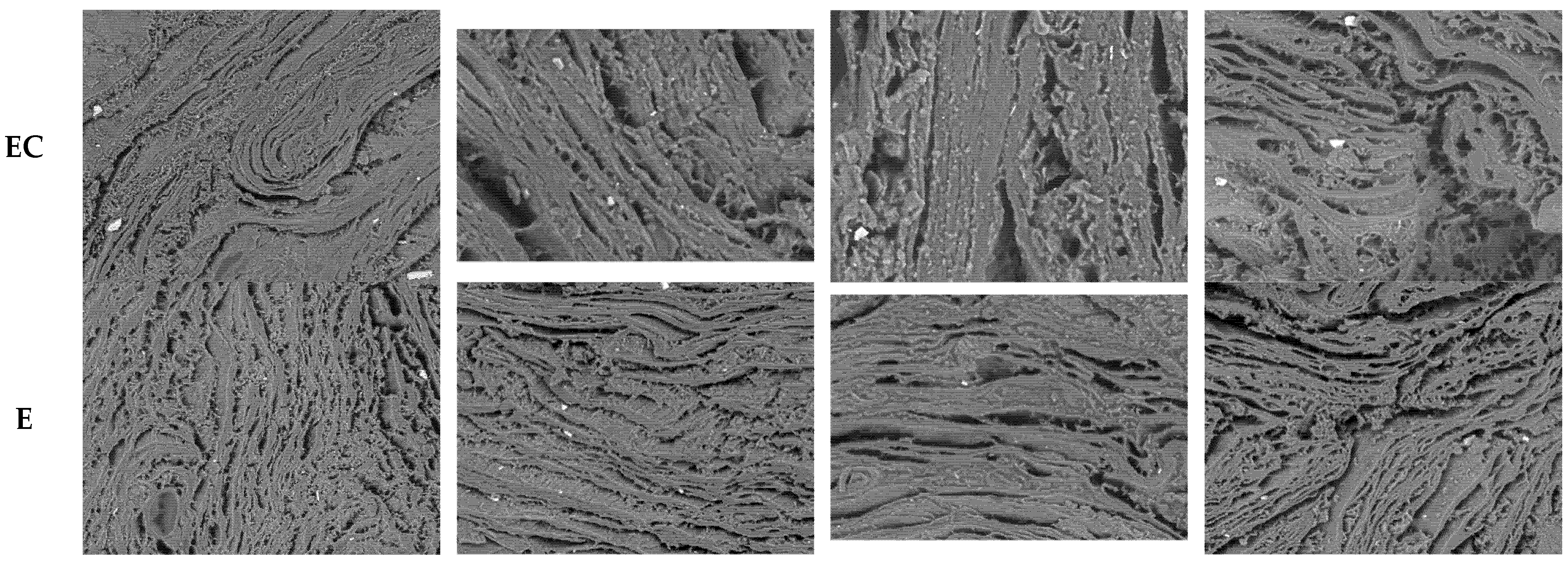 Foods 11 03977 g003b