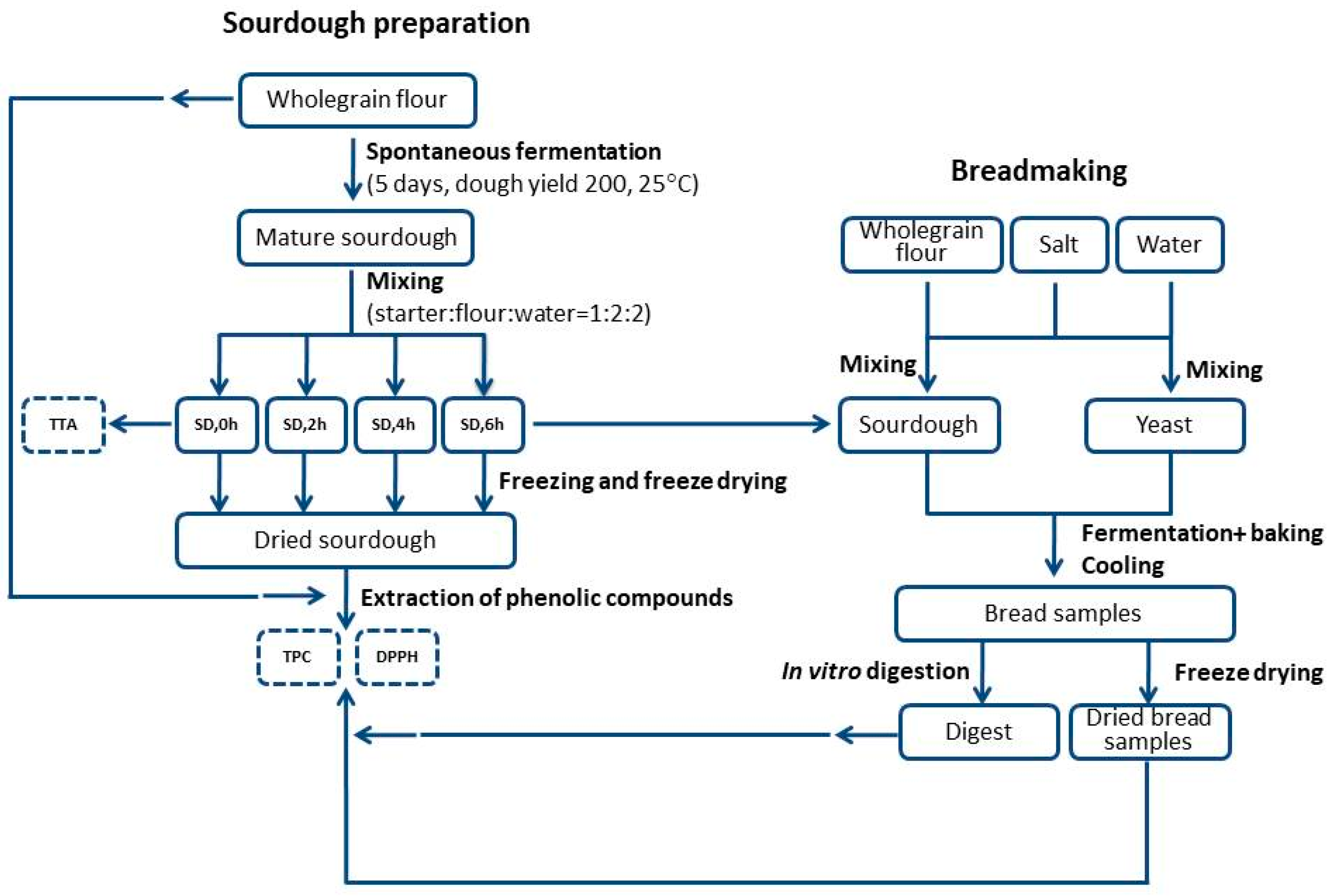 Foods 11 03985 g001 Foods 11 03985 g001