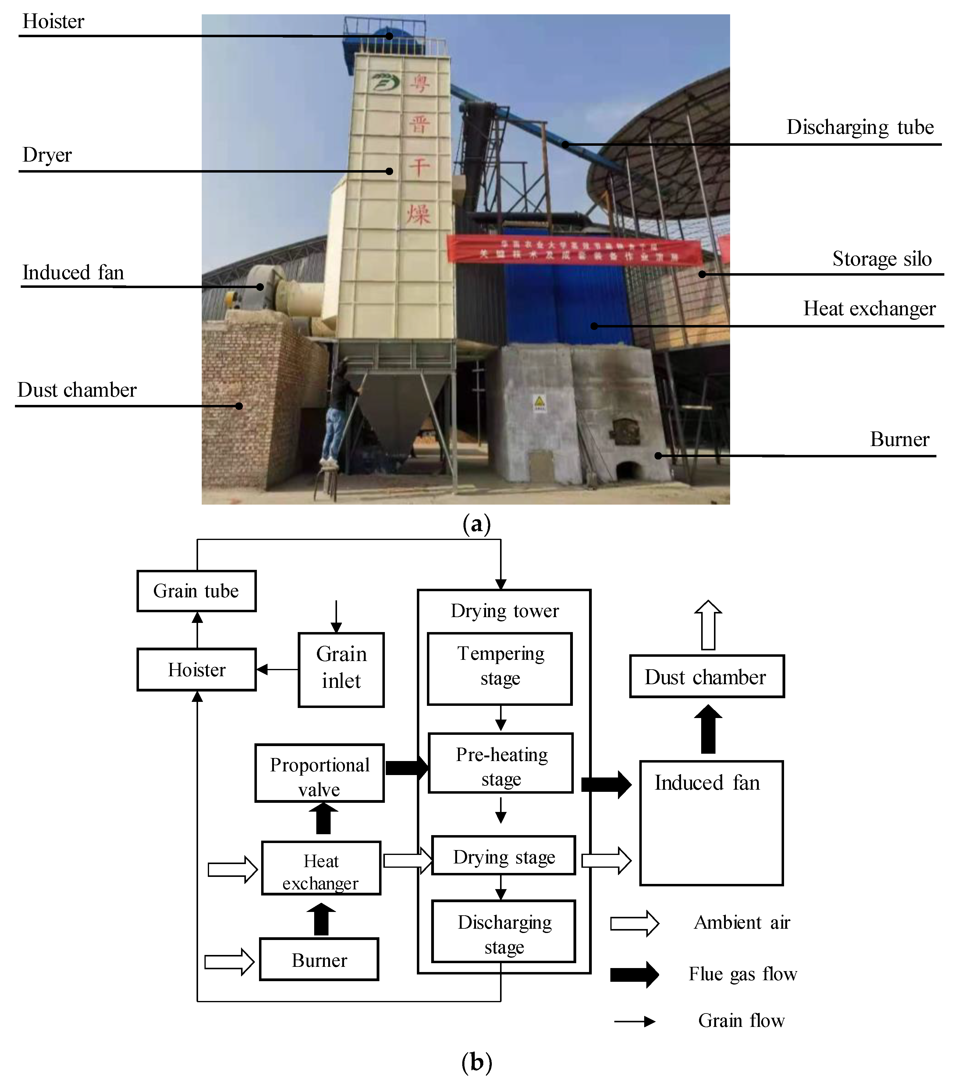 Foods 11 04009 g002 Foods 11 04009 g002