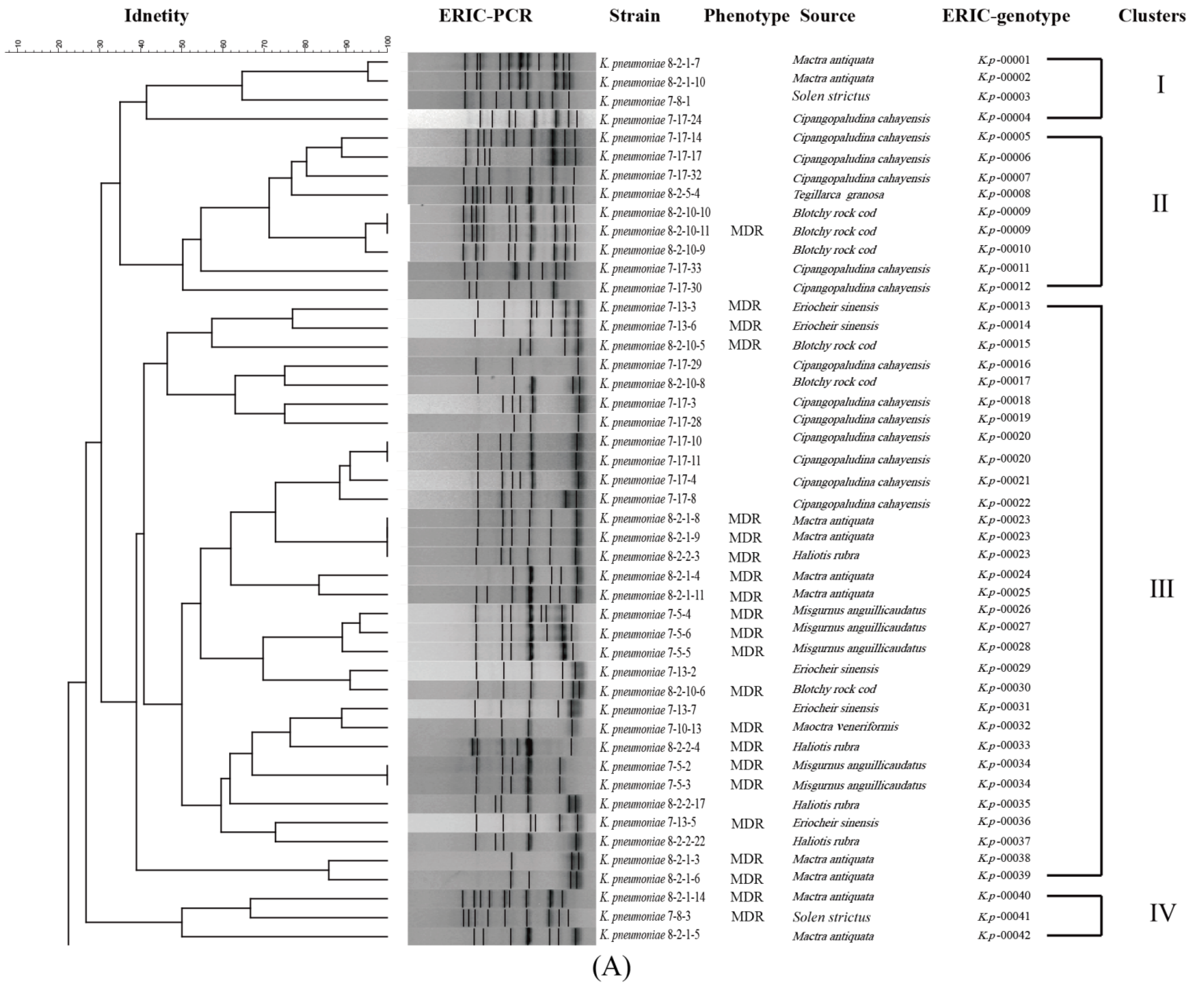 Foods 11 04058 g002a