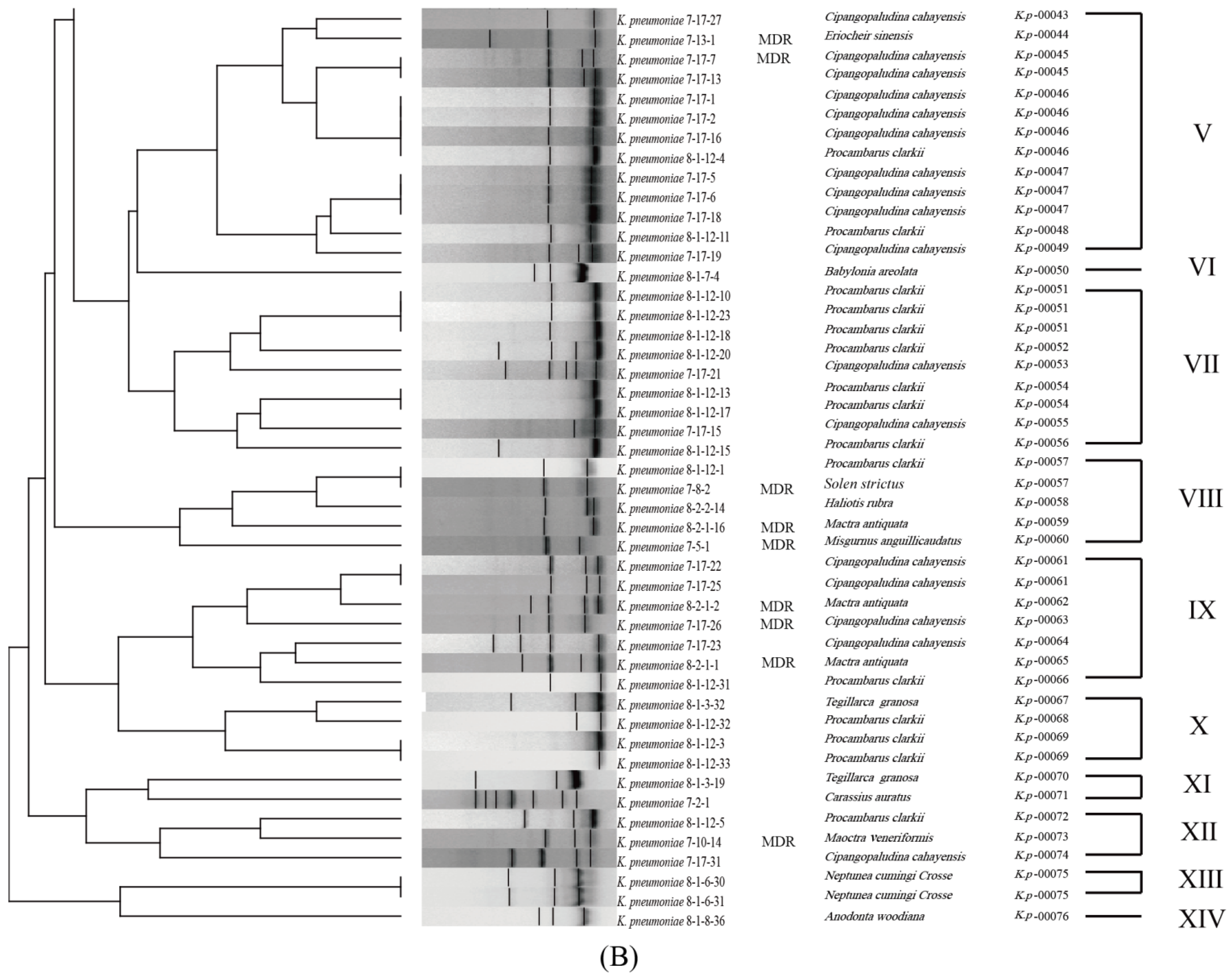 Foods 11 04058 g002b