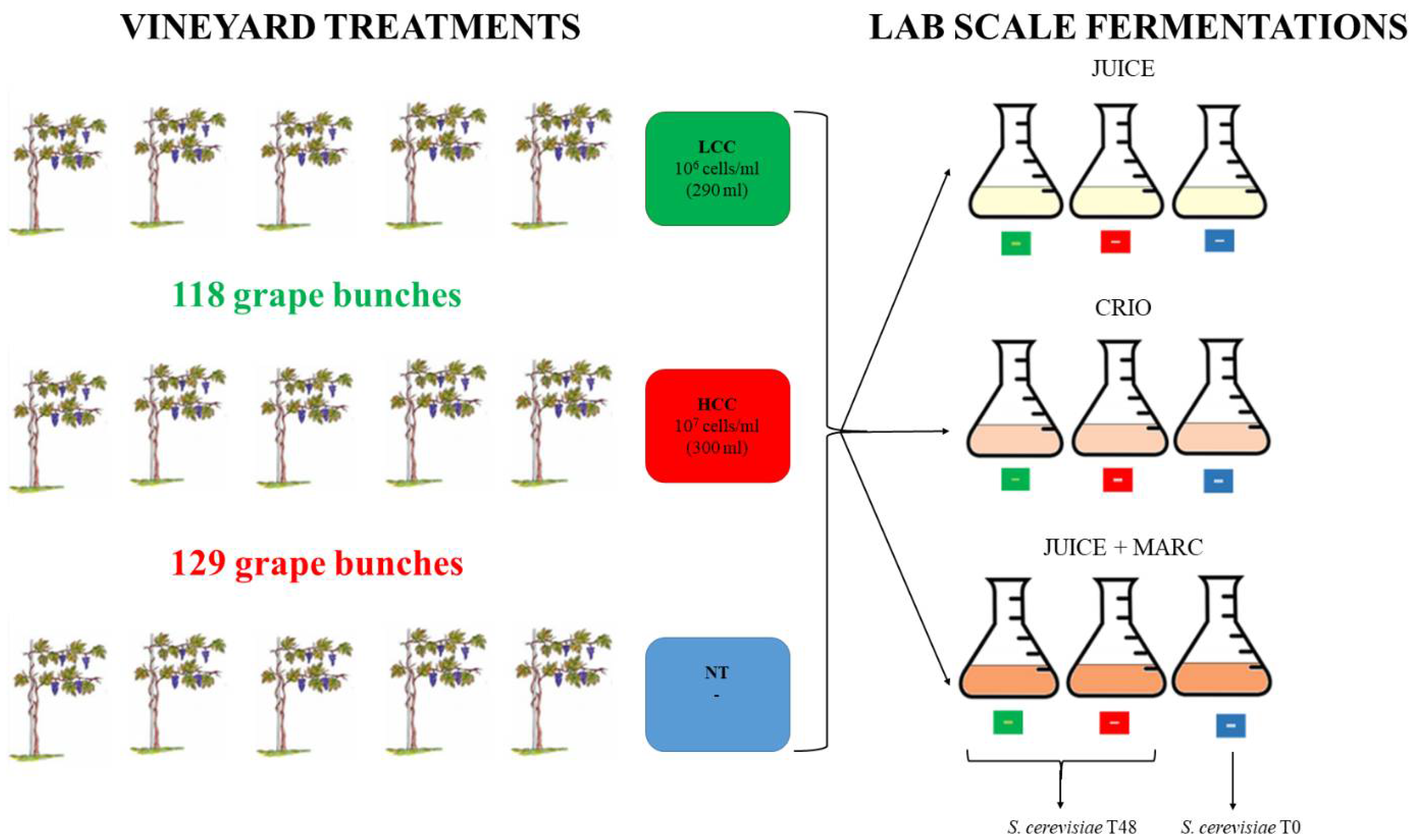 Foods 12 00003 g001 Foods 12 00003 g001