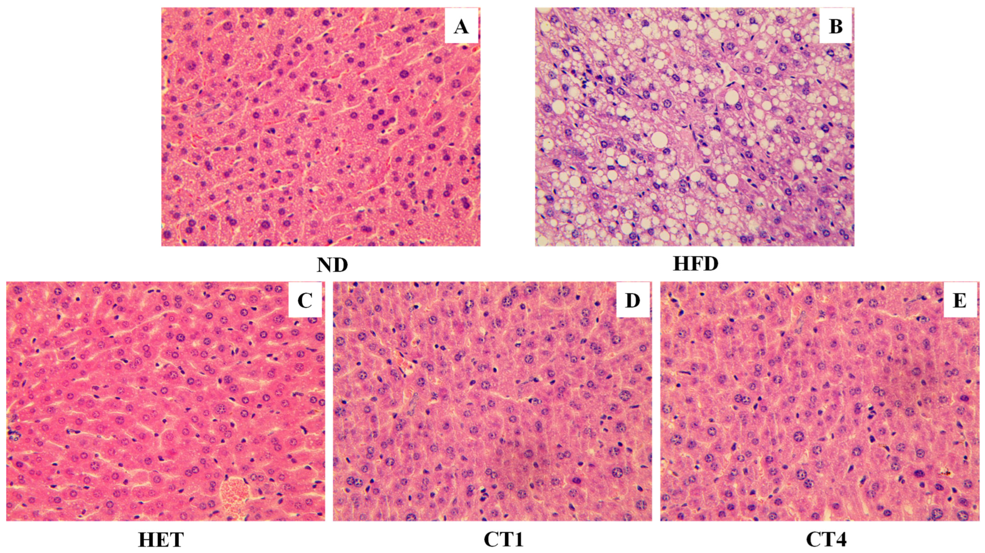Foods 12 00049 g006 Foods 12 00049 g006