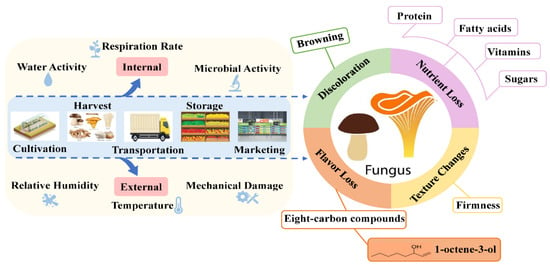 Foods | Free Full-Text | Recent Advances in Postharvest Irradiation  Preservation Technology of Edible Fungi: A Review