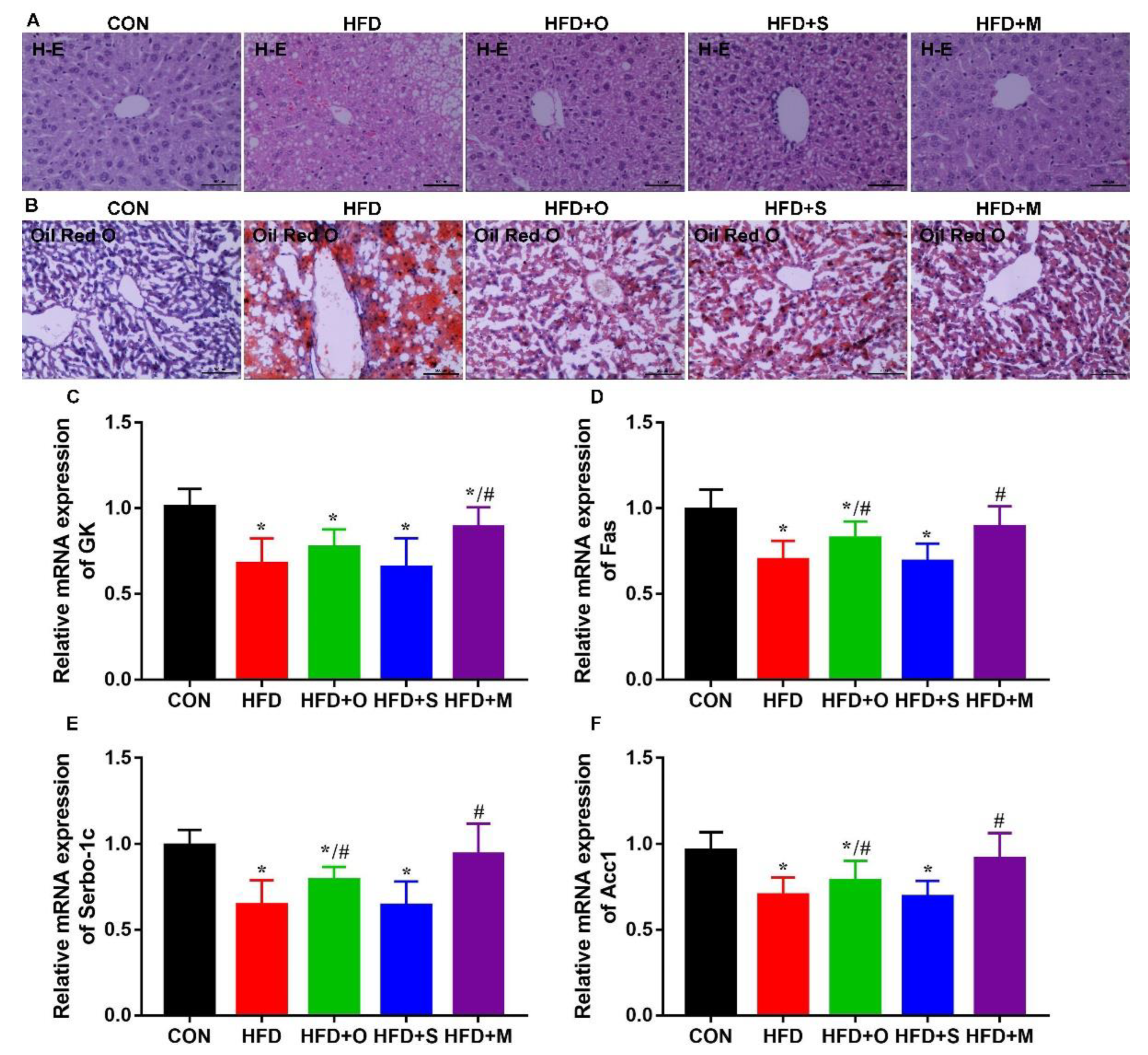 Foods 12 00112 g006 Foods 12 00112 g006