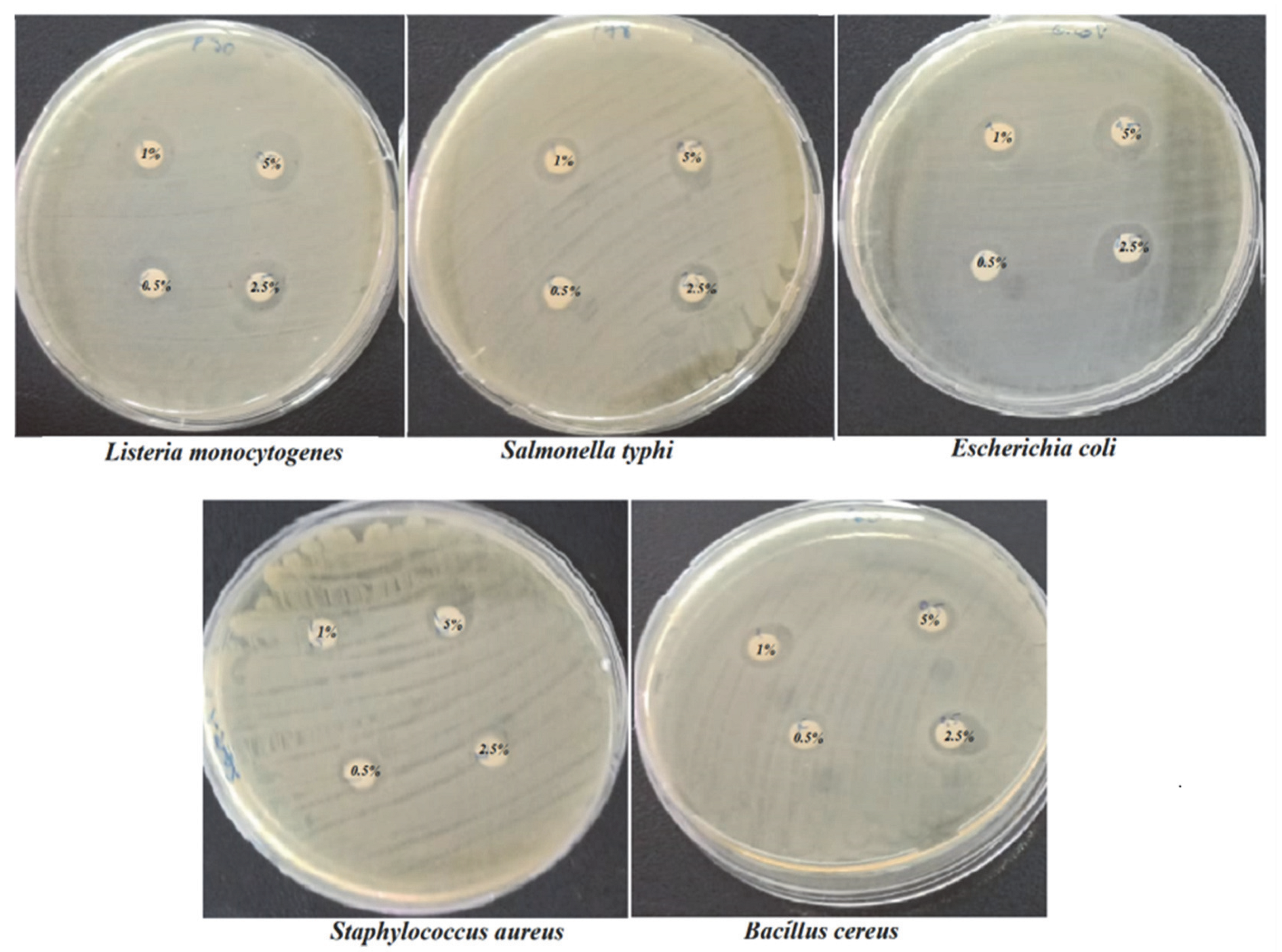 PDF) Antifungal activity of volatile compounds generated by