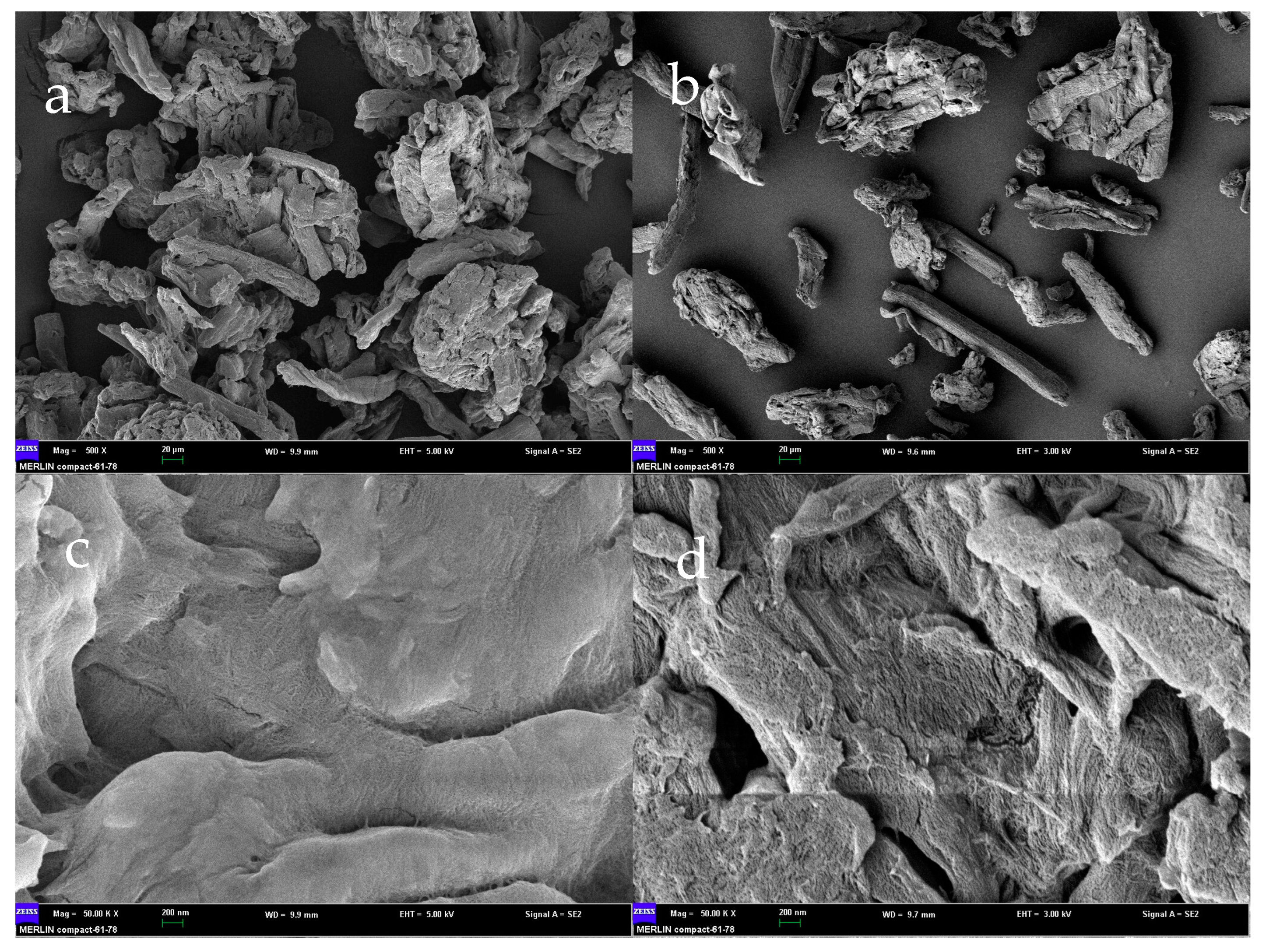 Foods 12 00240 g001 Foods 12 00240 g001